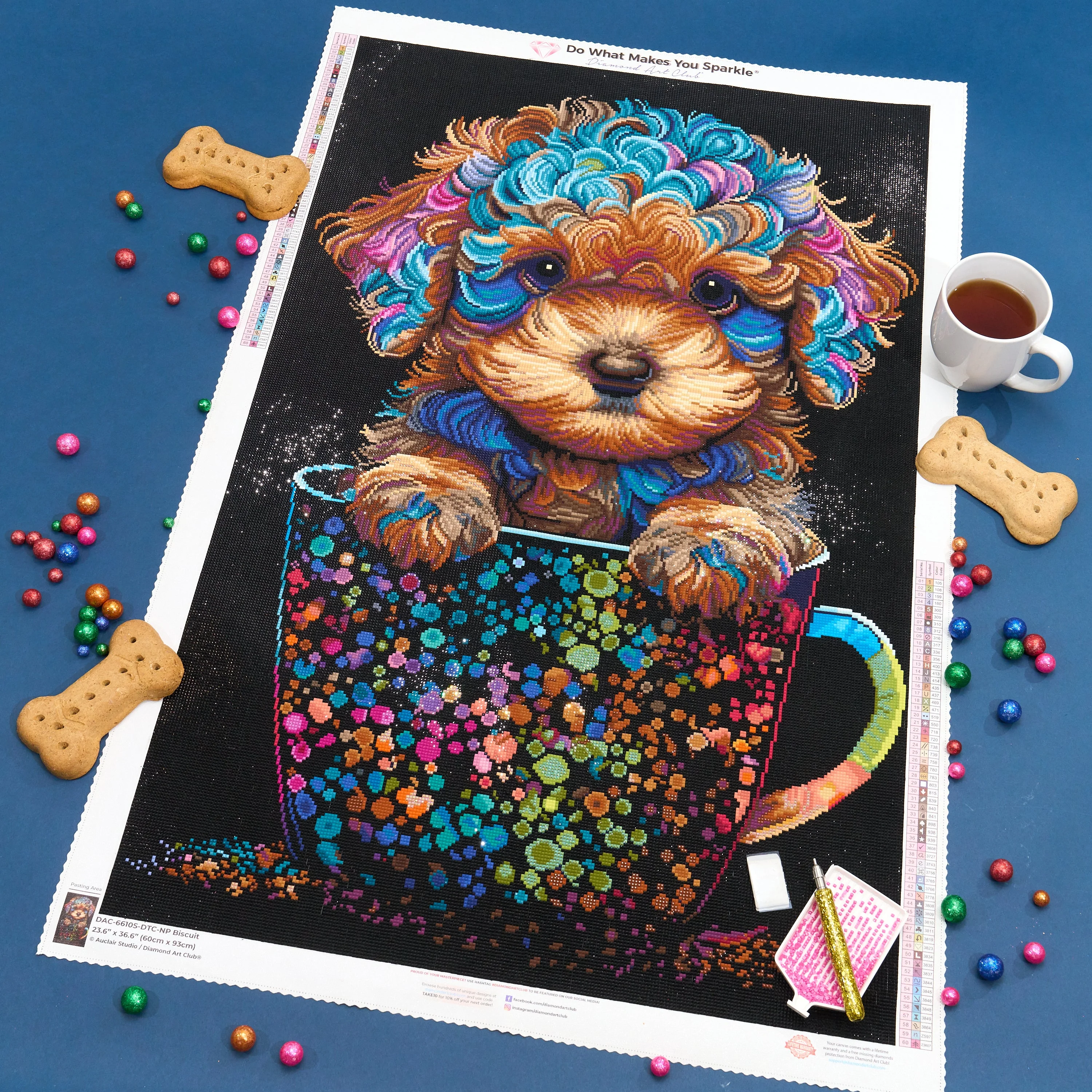 Biscuit - Image 6