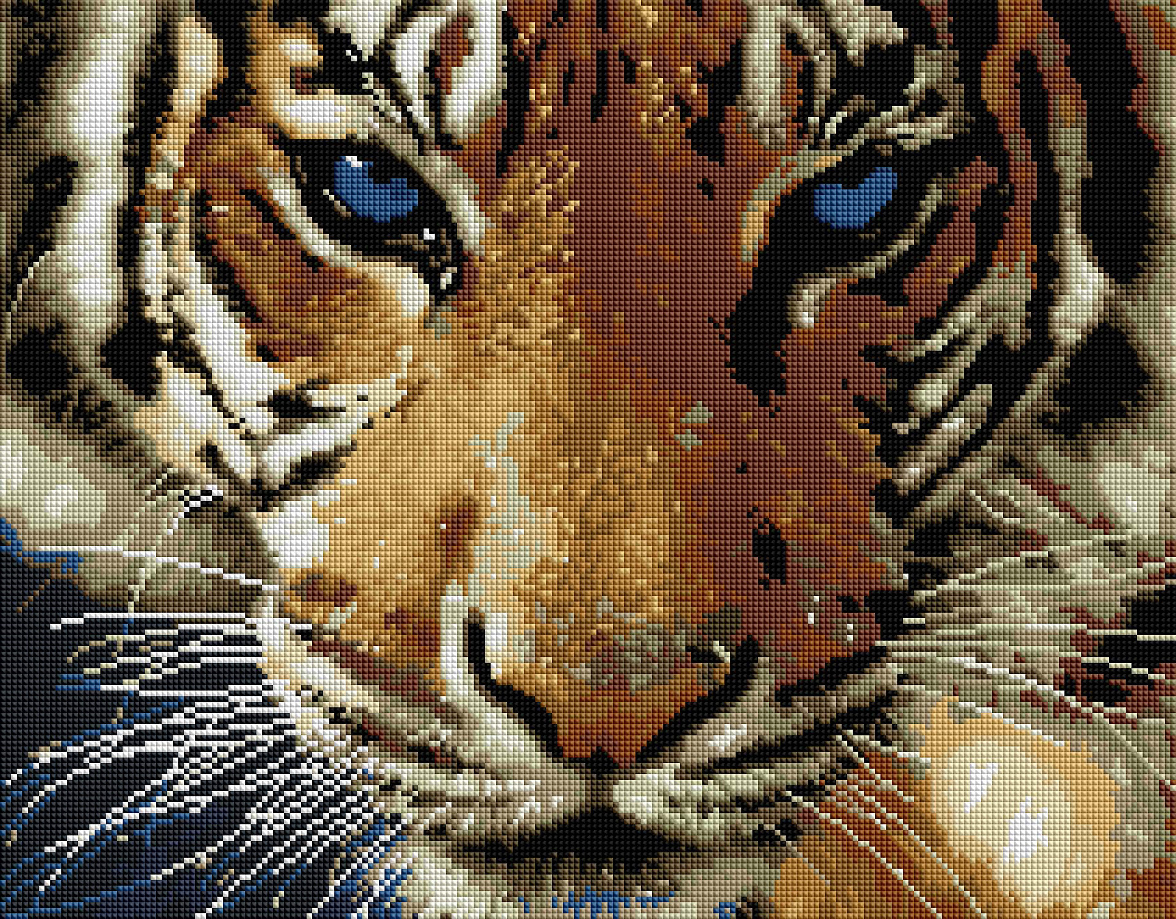 Blue Eyed Tiger - Image 2