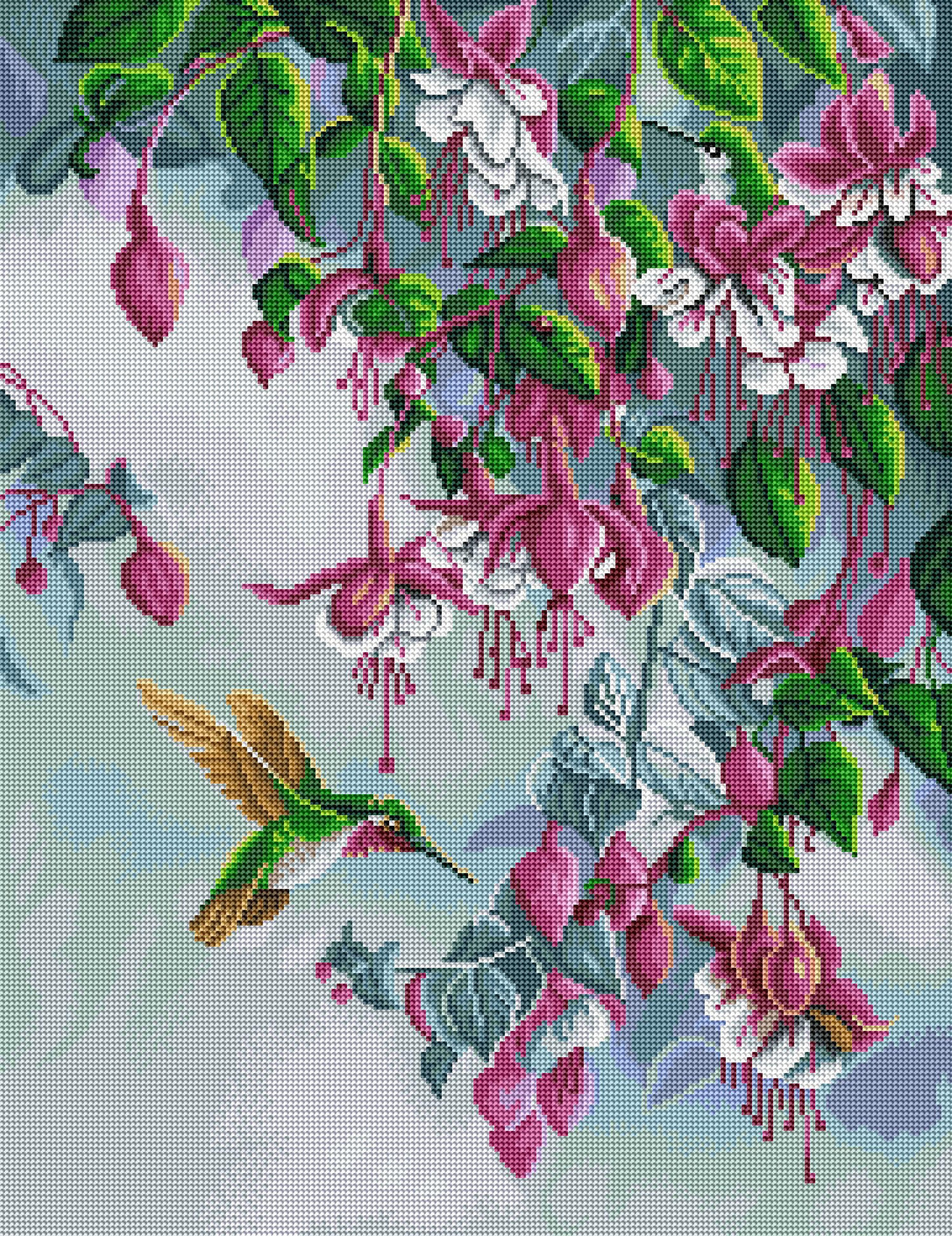 Broadtail and Fuchsia - Image 2