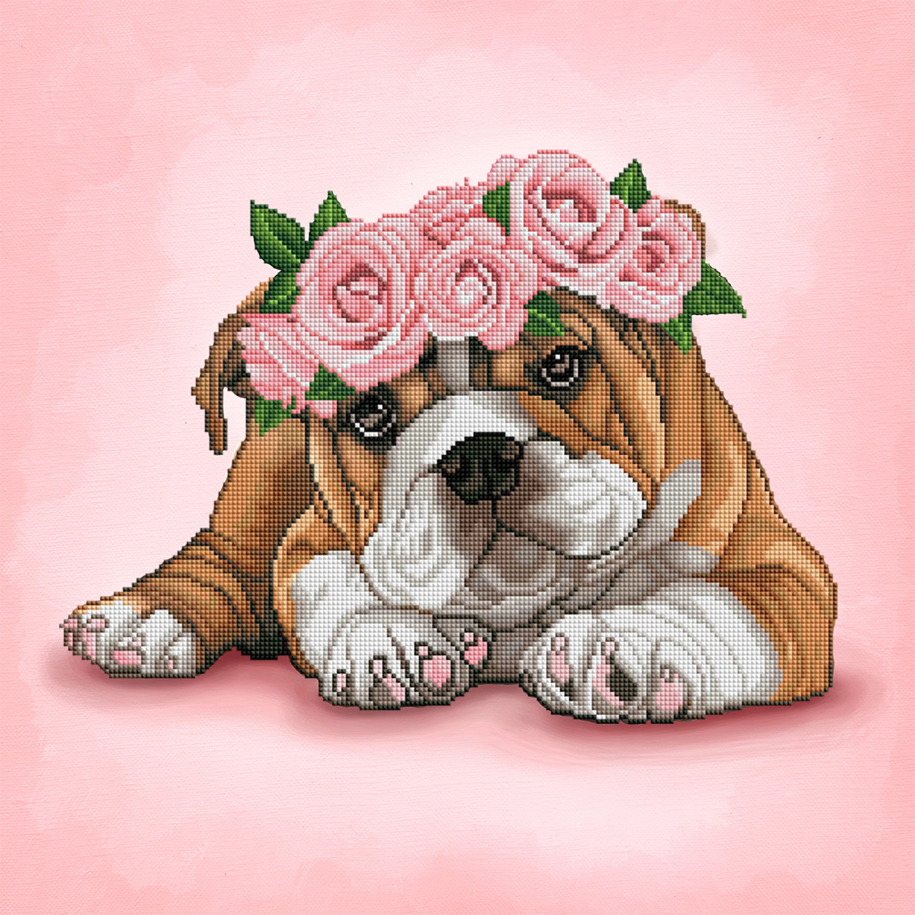 Bulldog & Roses - Image 2