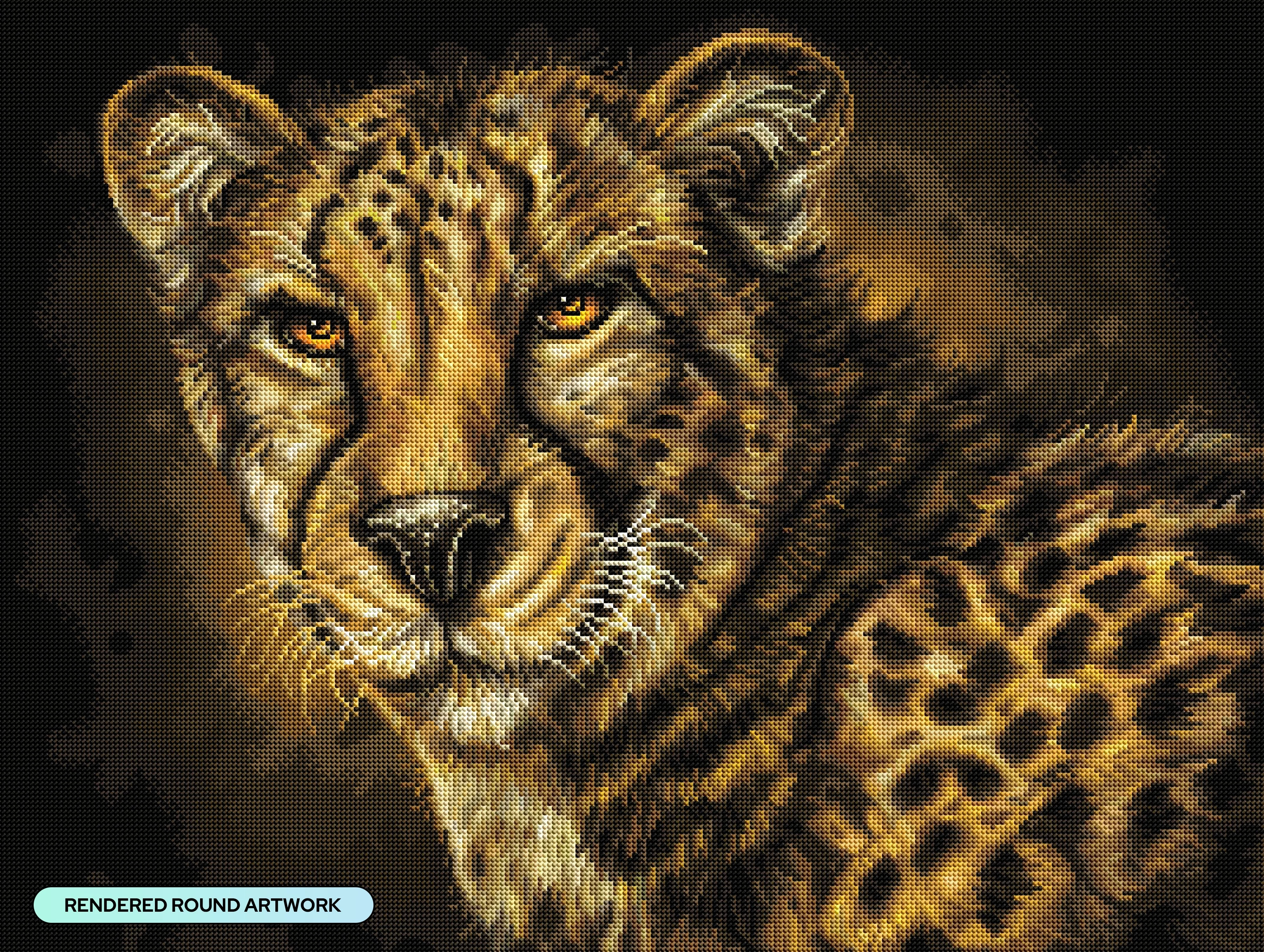 Cheetah - Image 2