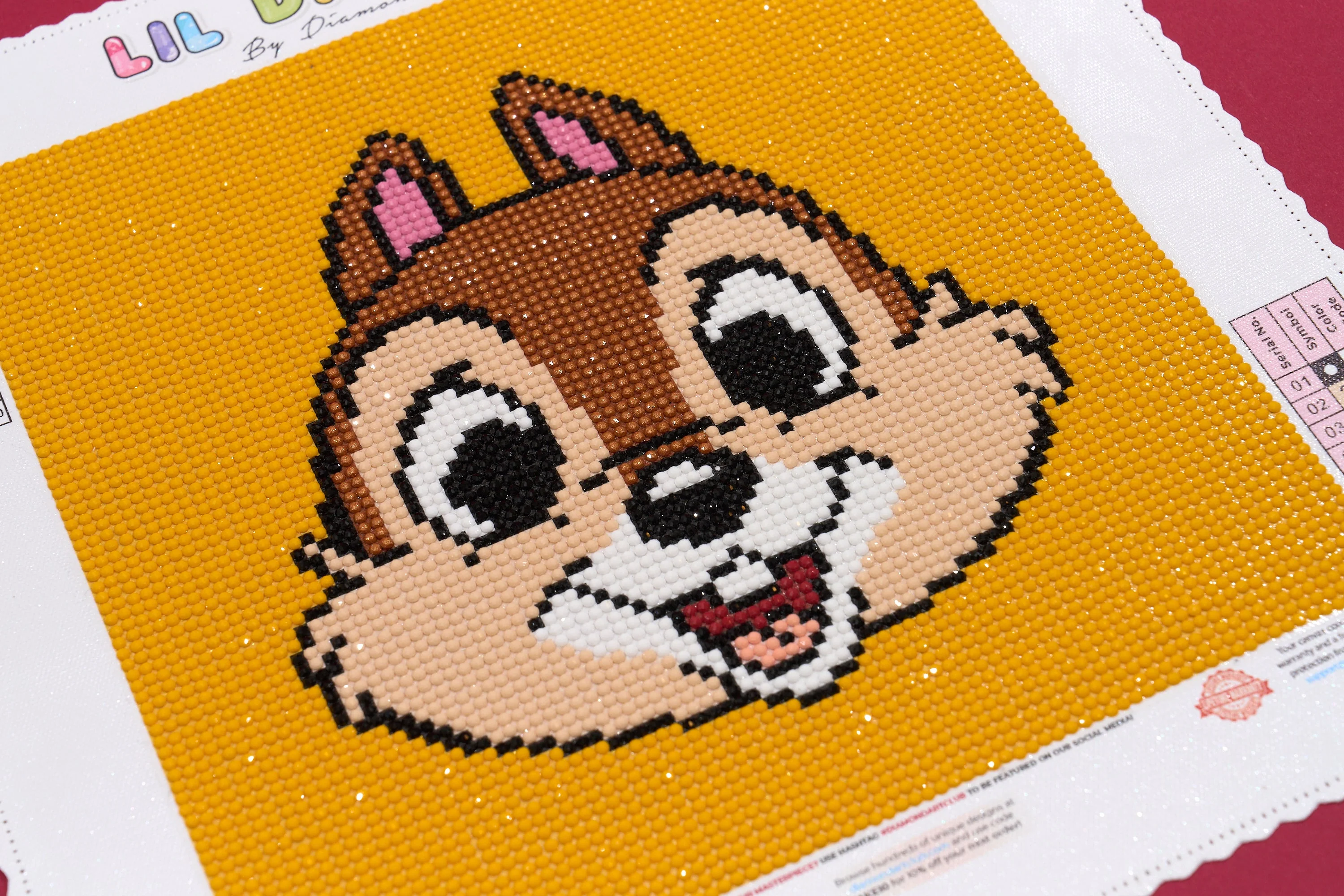 Chip - Image 4
