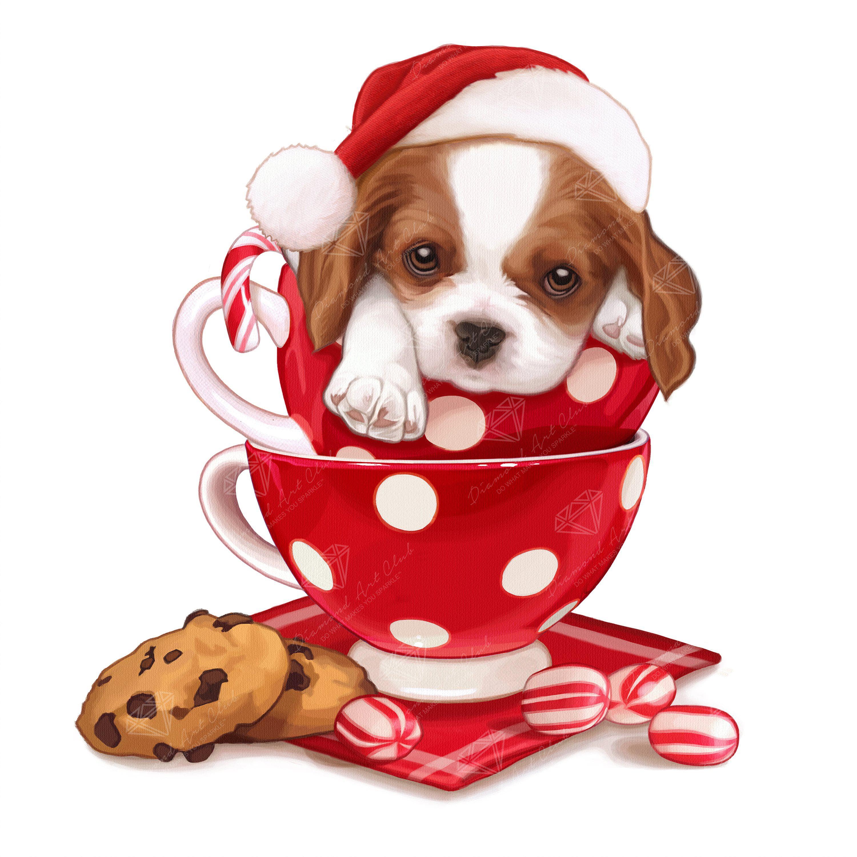 Christmas King Charles