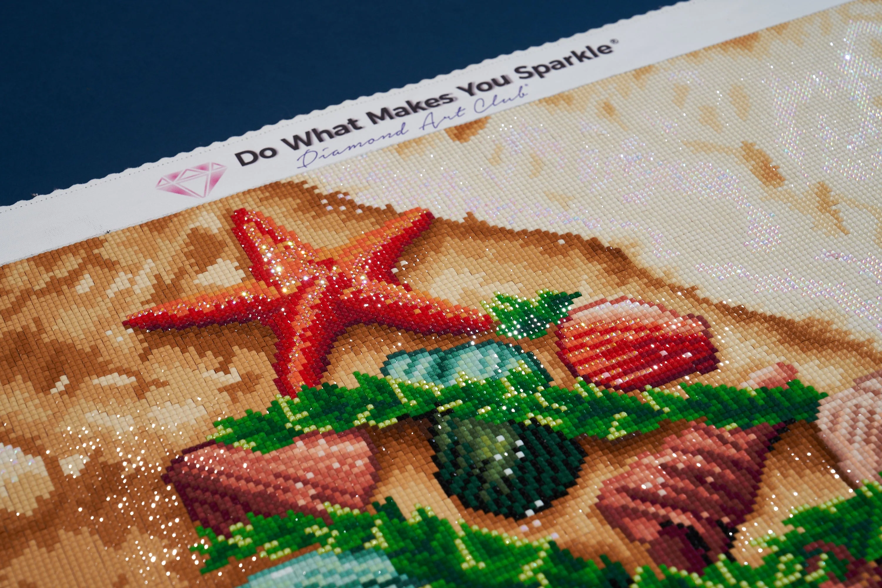 Christmas Shells - Image 5