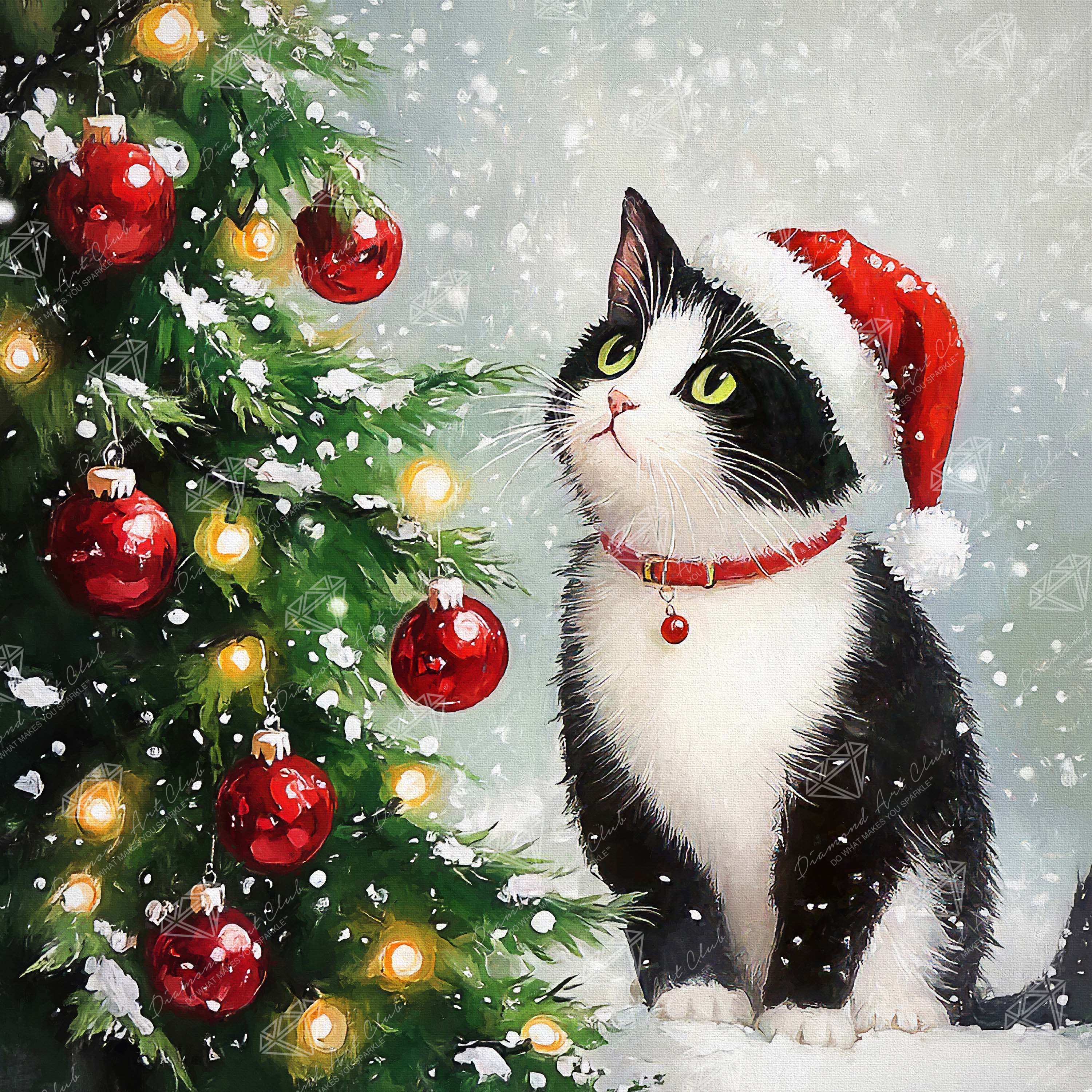 Christmas Tree Contemplation