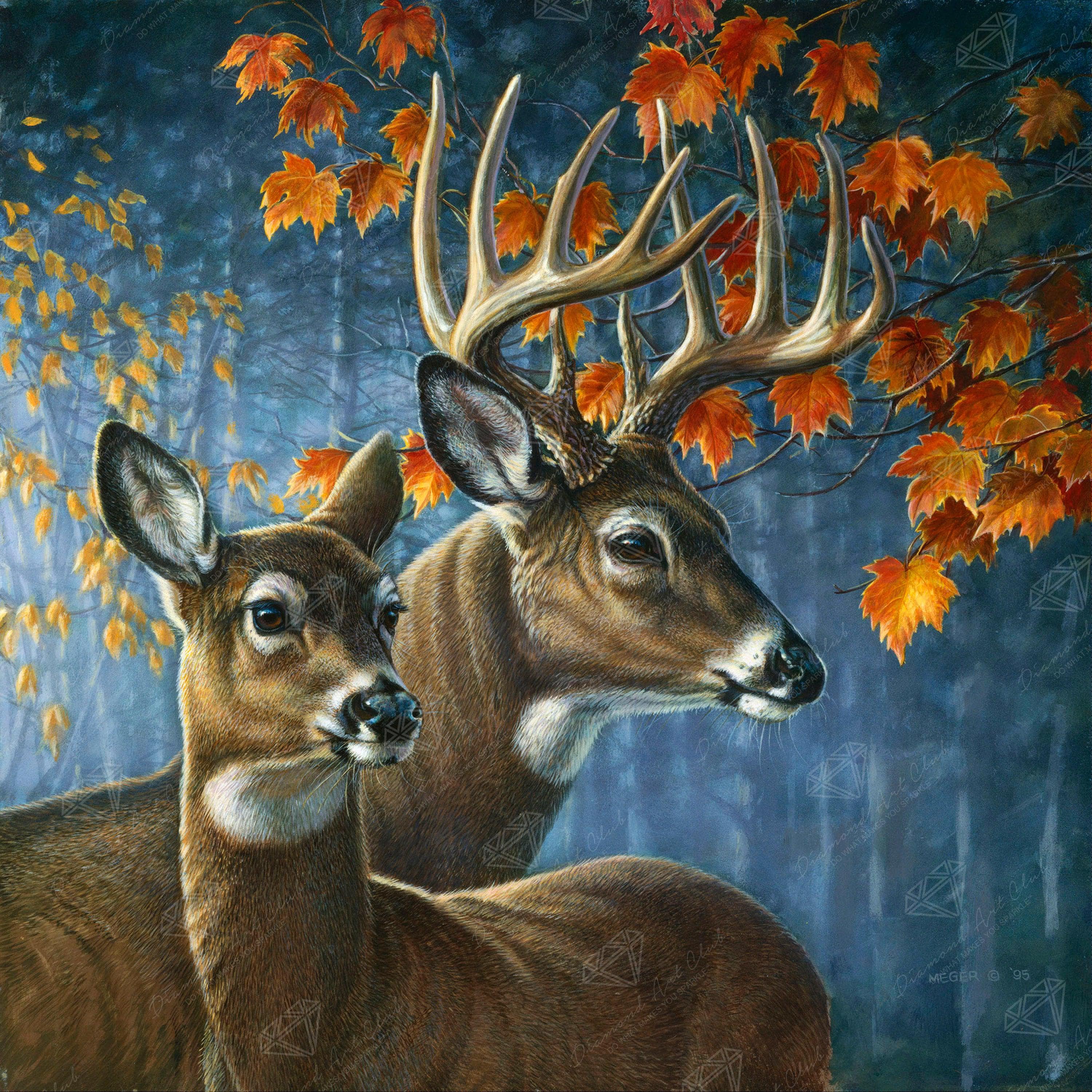 Deer Pair