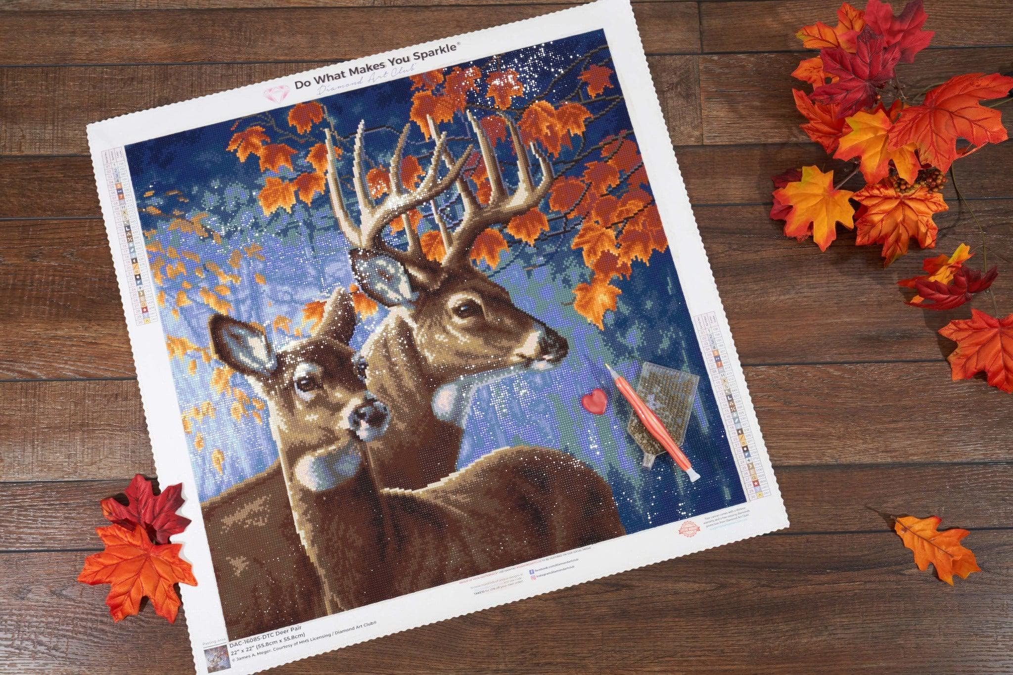 Deer Pair - Image 6