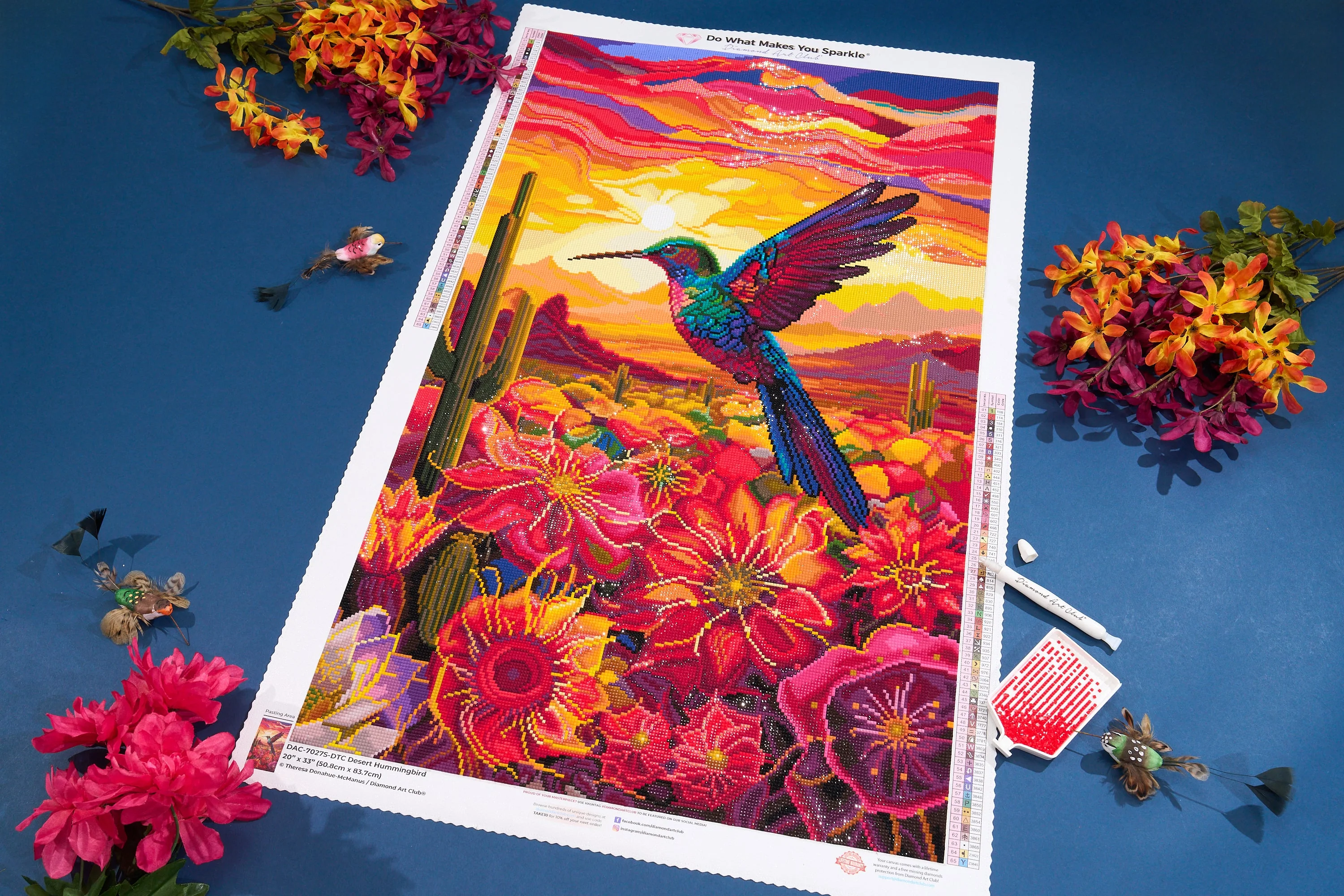Desert Hummingbird - Image 6