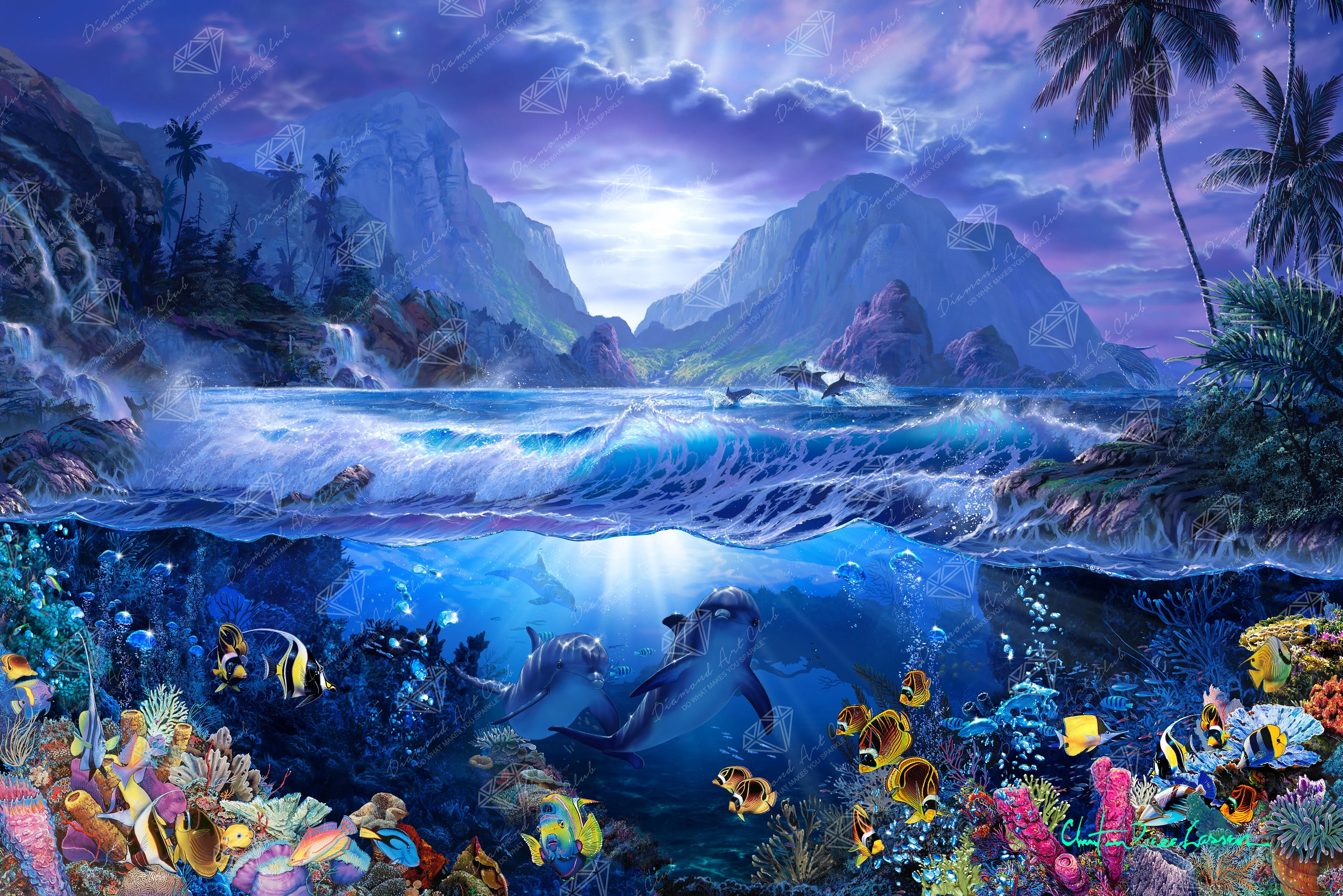 Dolphins Playground