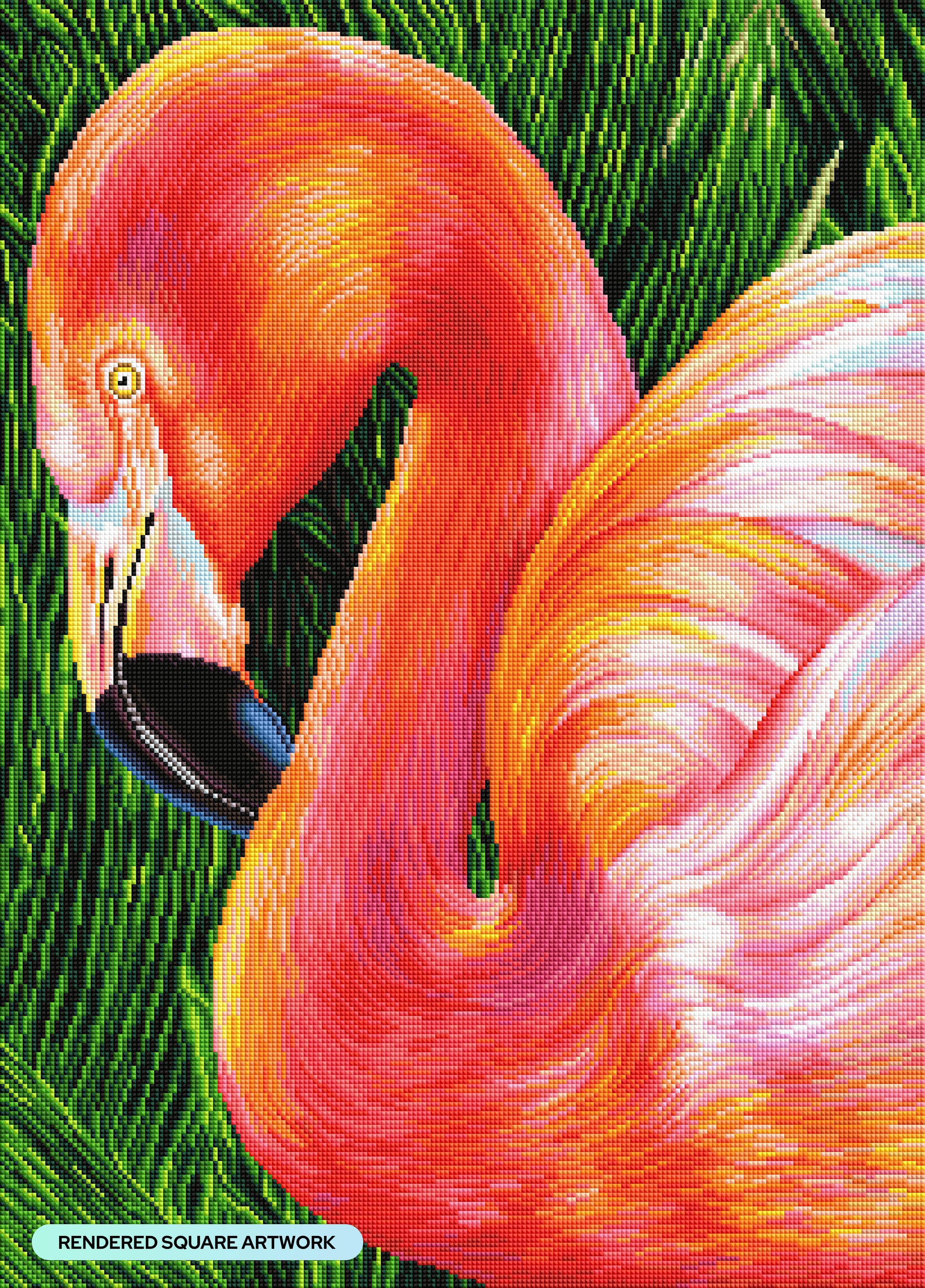 Flamingo - Image 2