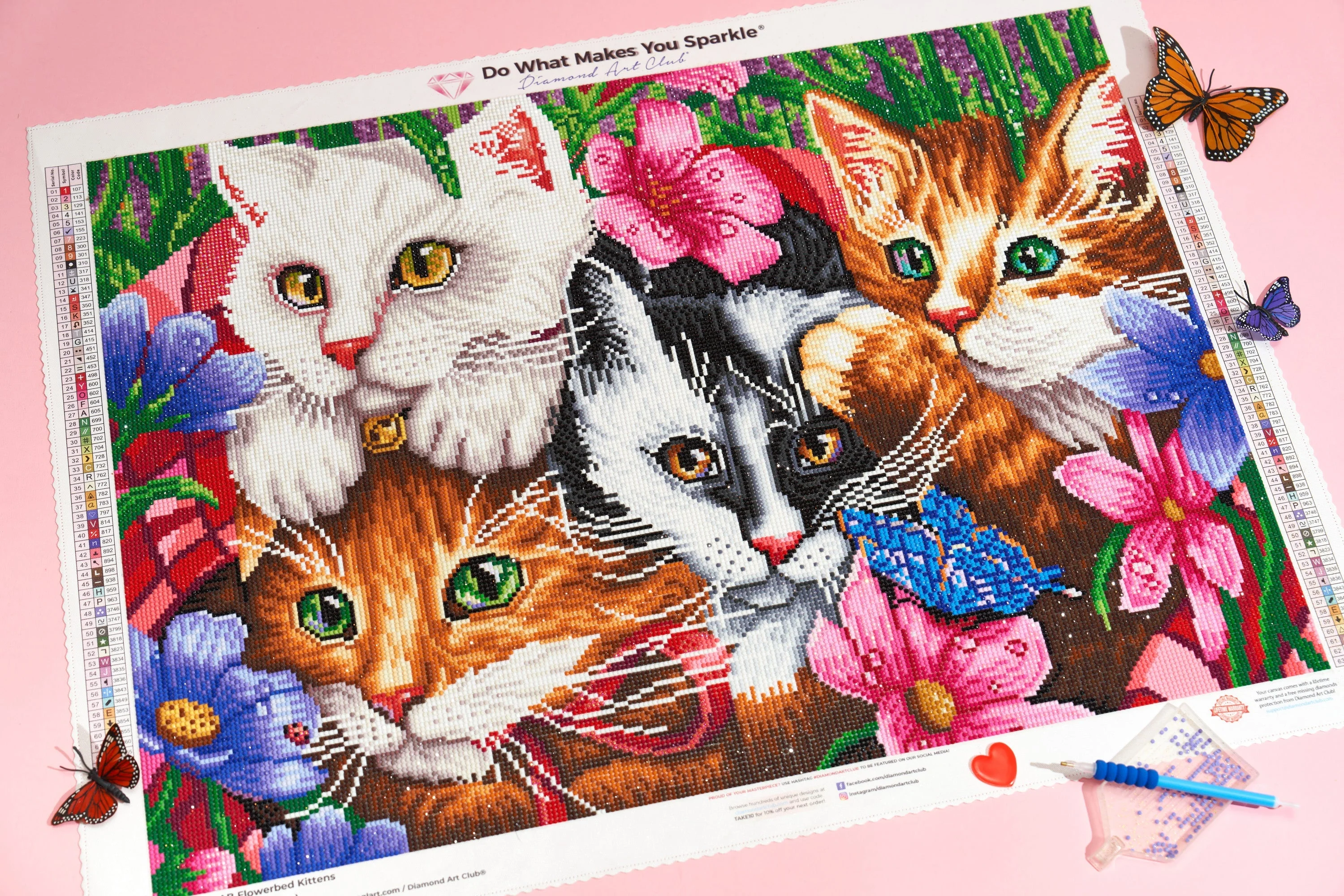 Flowerbed Kittens - Image 6