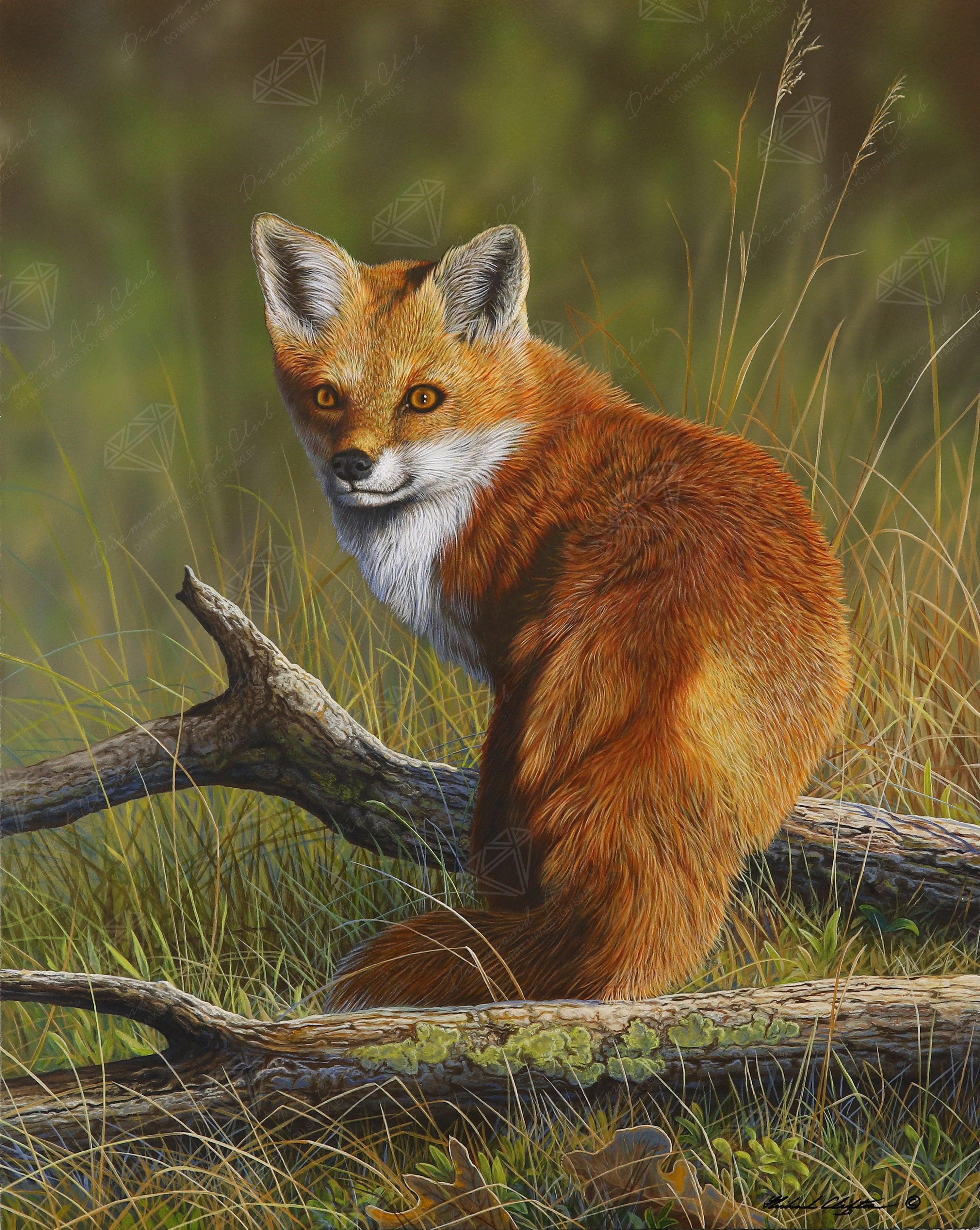 Fox