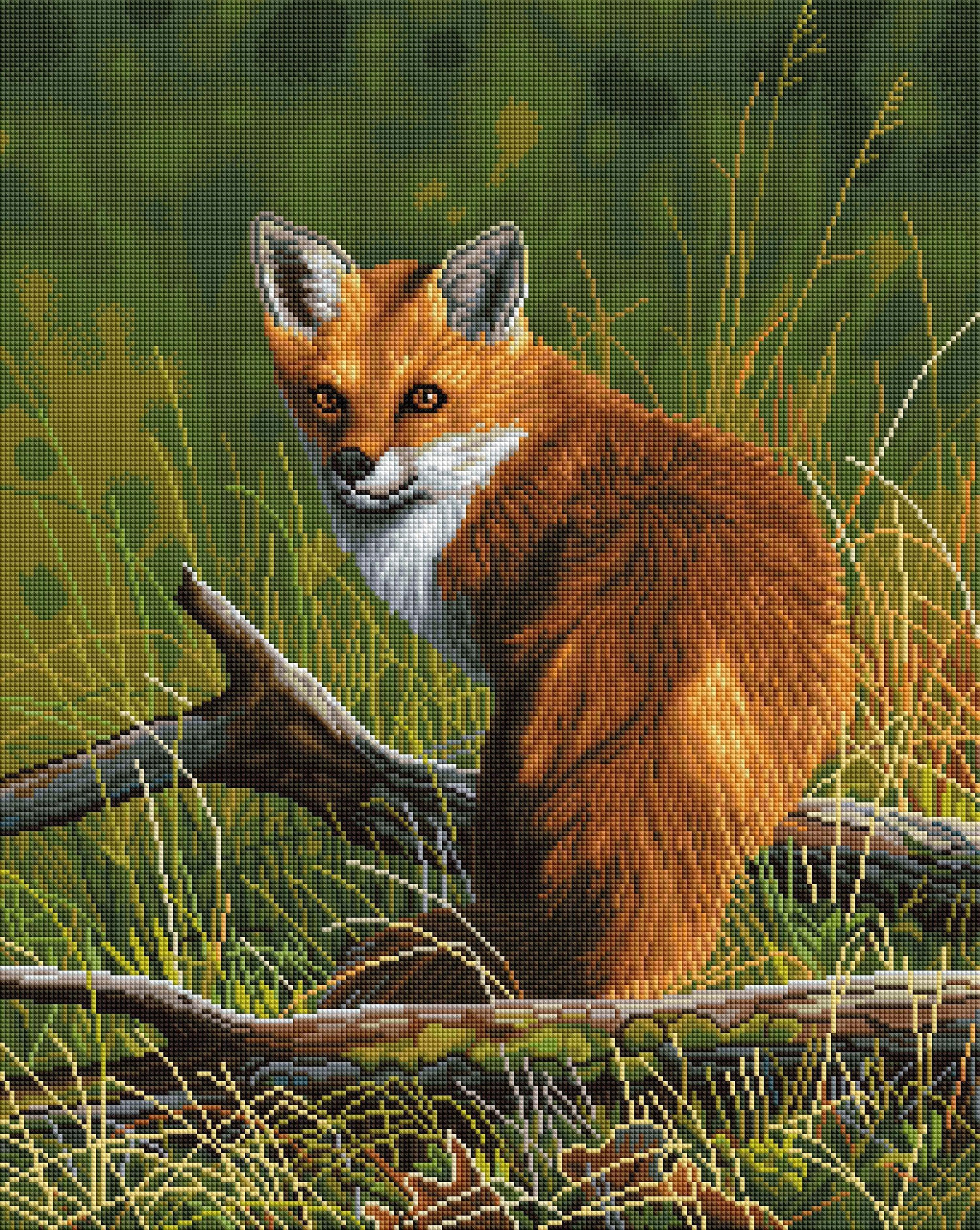 Fox - Image 2