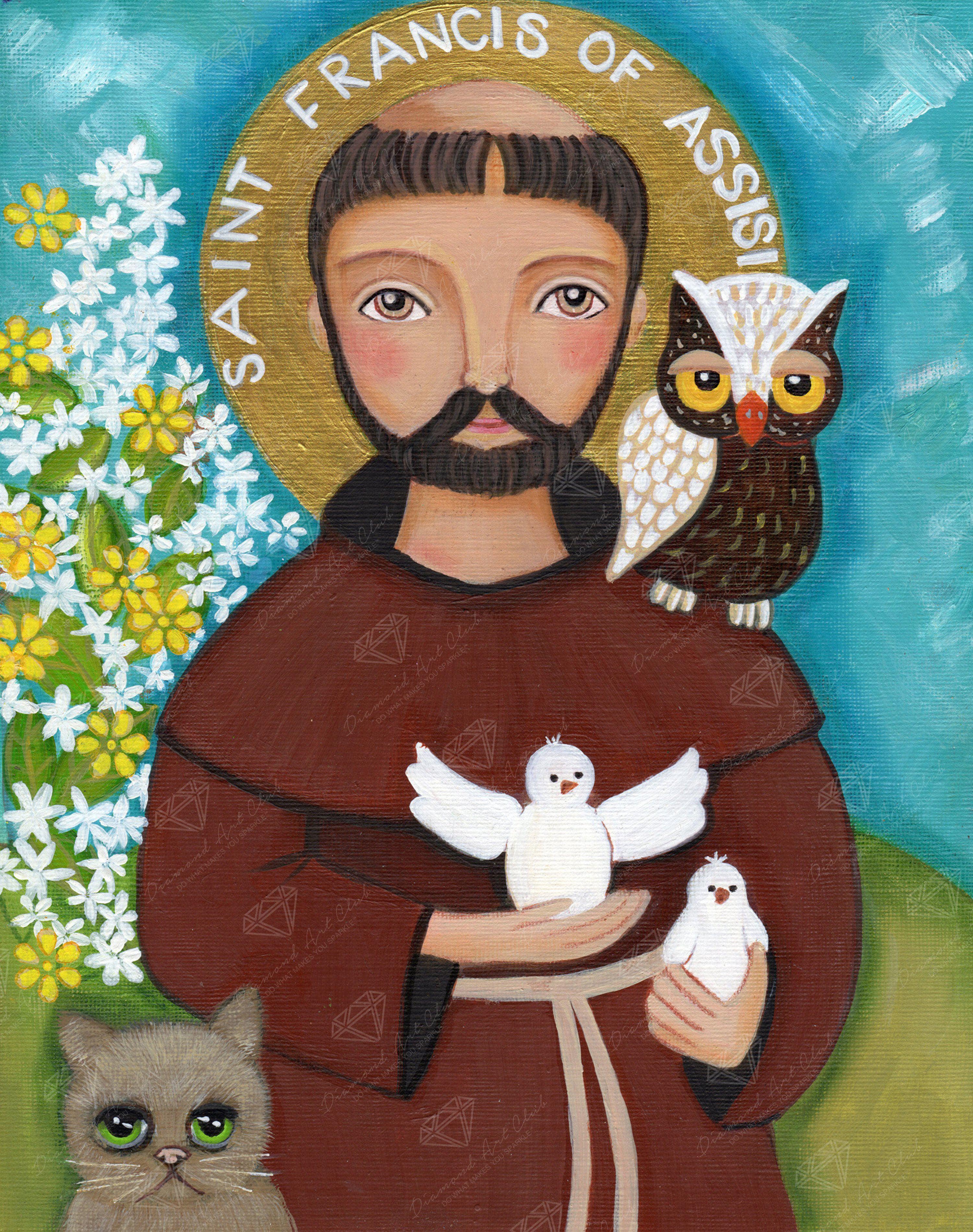 Francis Assisi