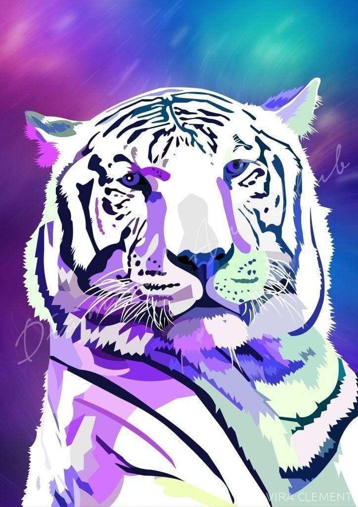 Galaxy Tiger