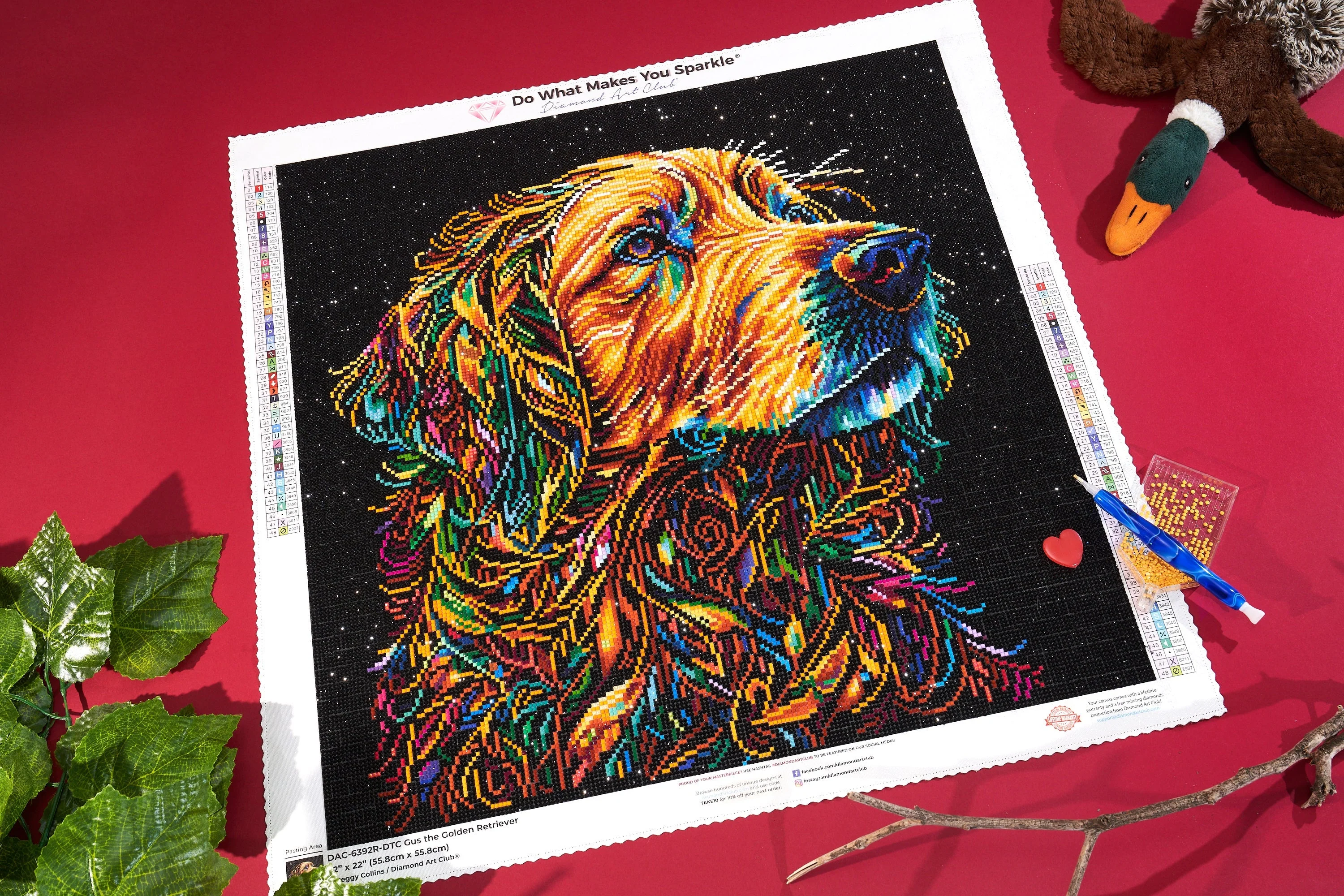 Gus the Golden Retriever - Image 5