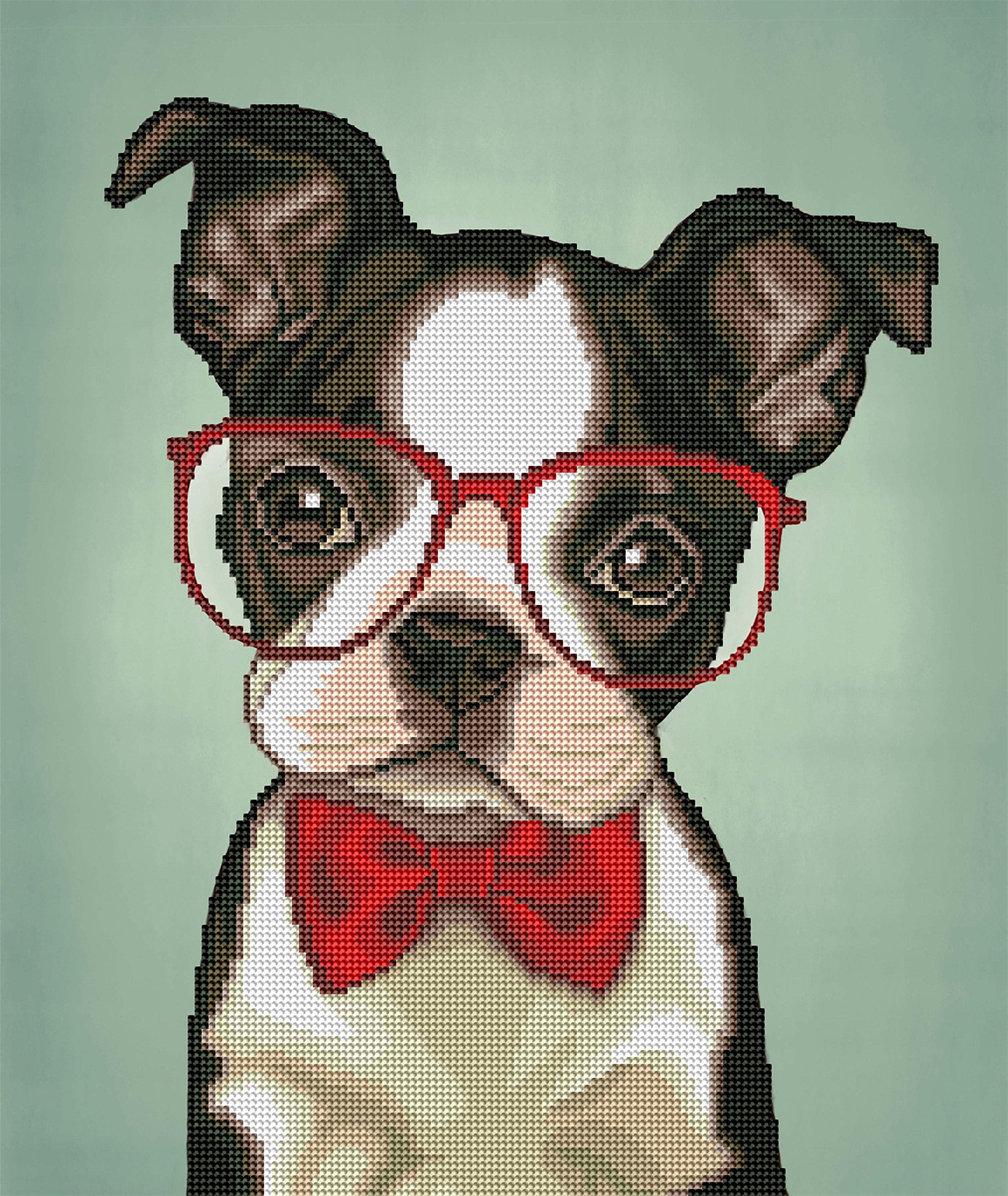 Hipster Boston Terrier - Image 2