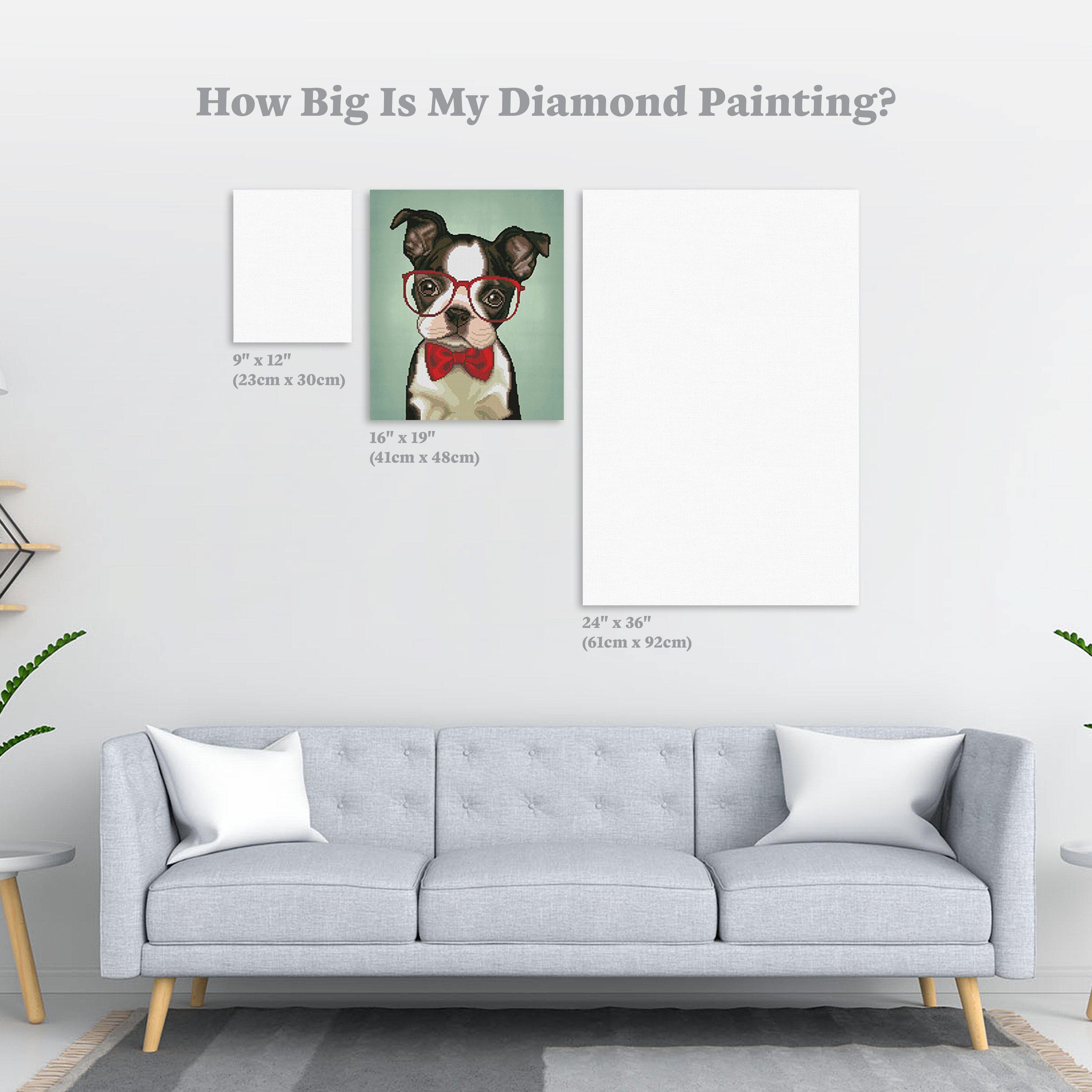 Hipster Boston Terrier - Image 4