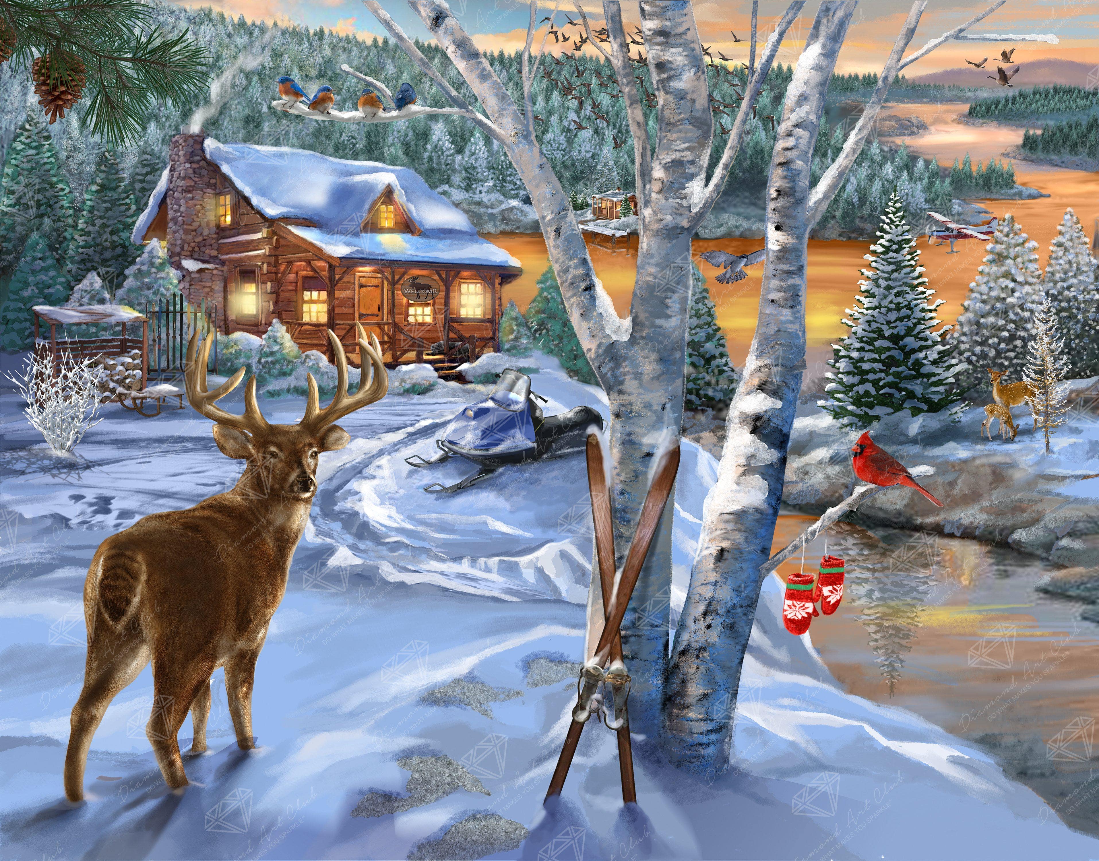 Holiday Visitors