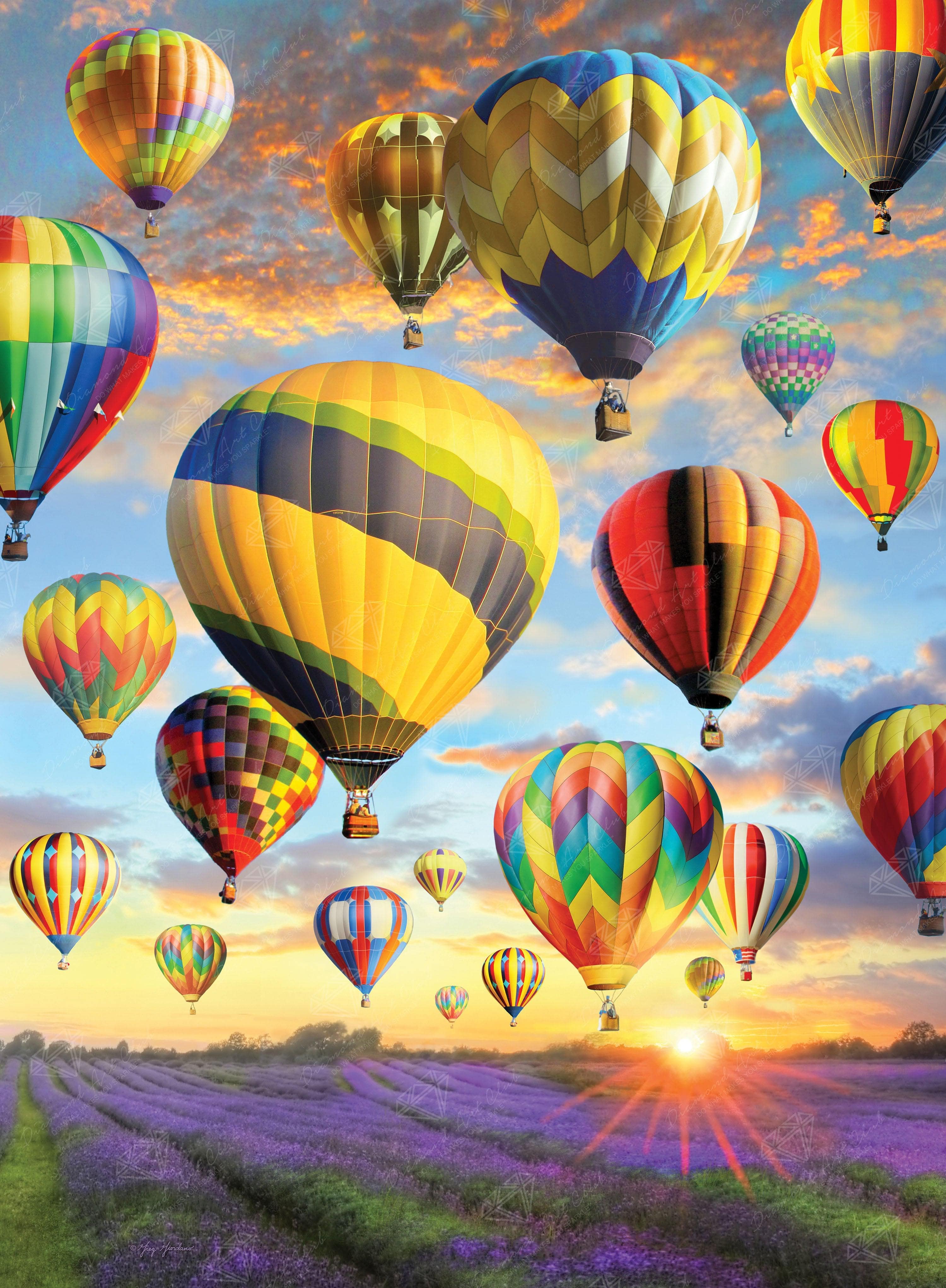 Hot Air Balloon
