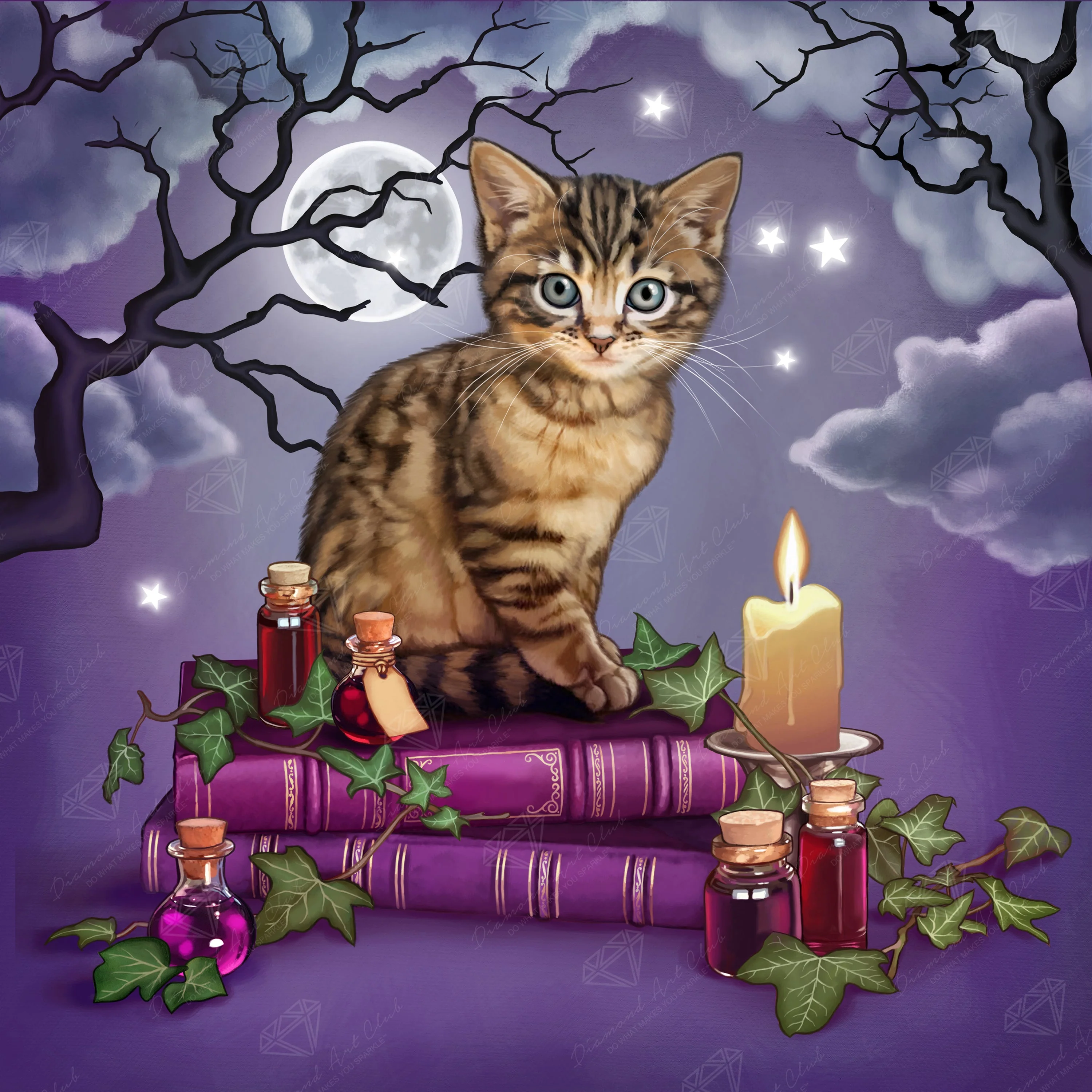 Magic Lessons