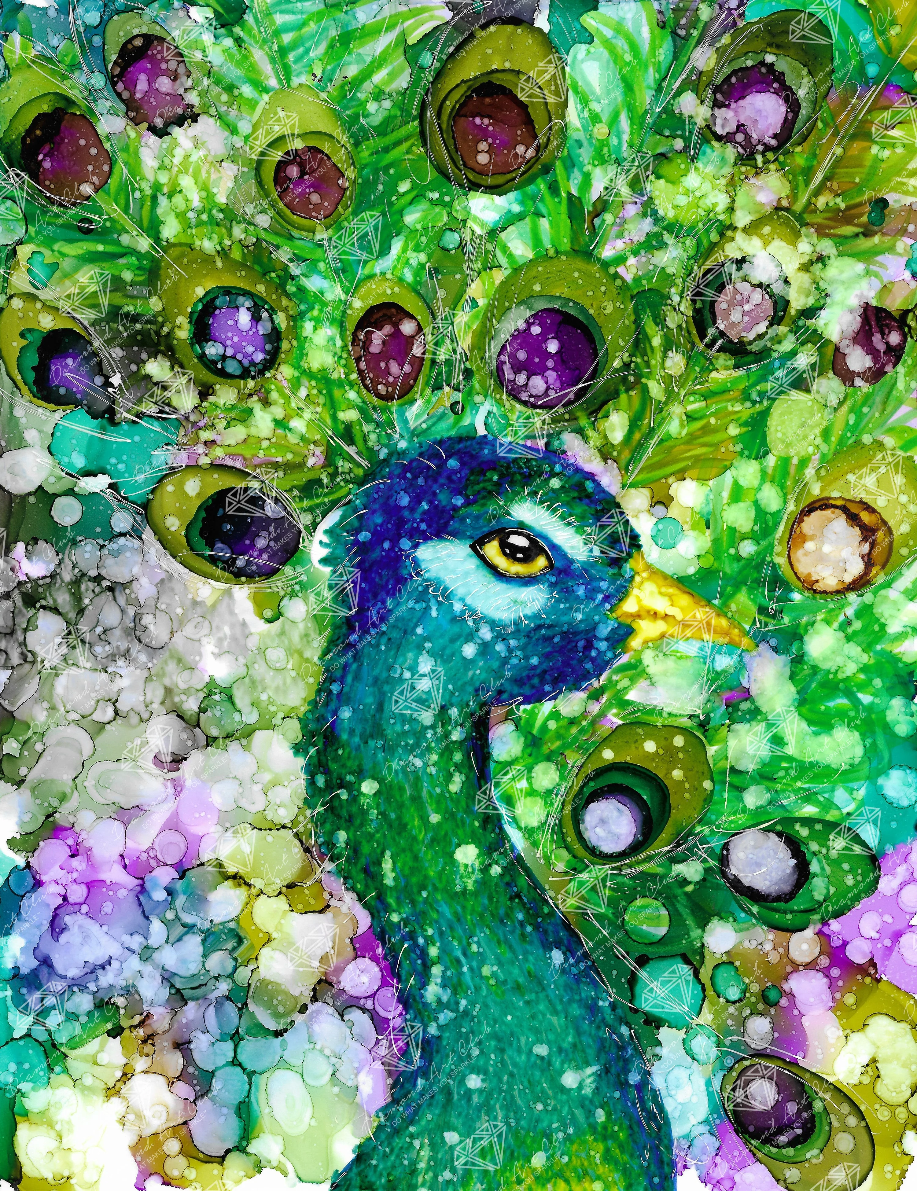 Mr. Peacock