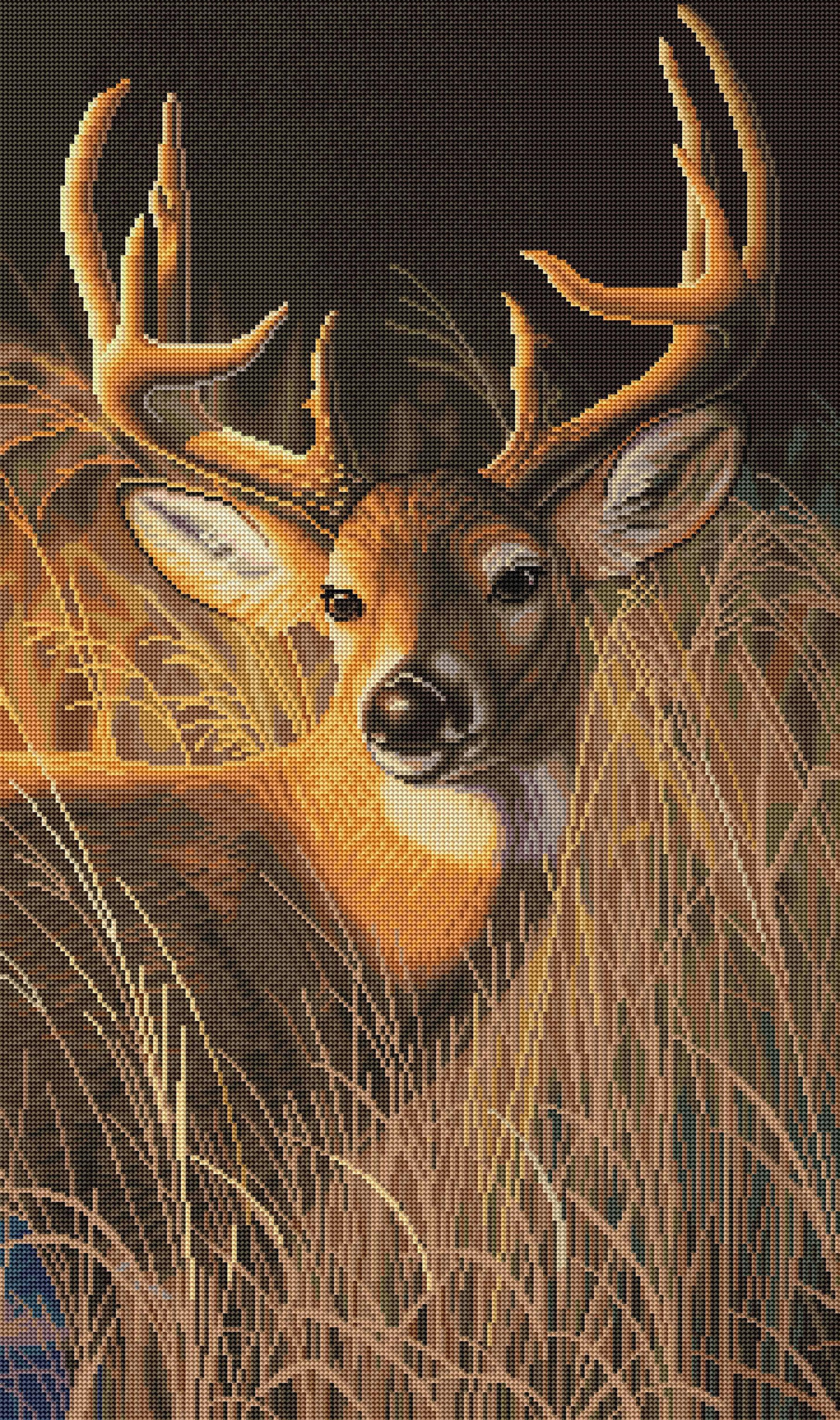Oak Island Whitetail - Image 2