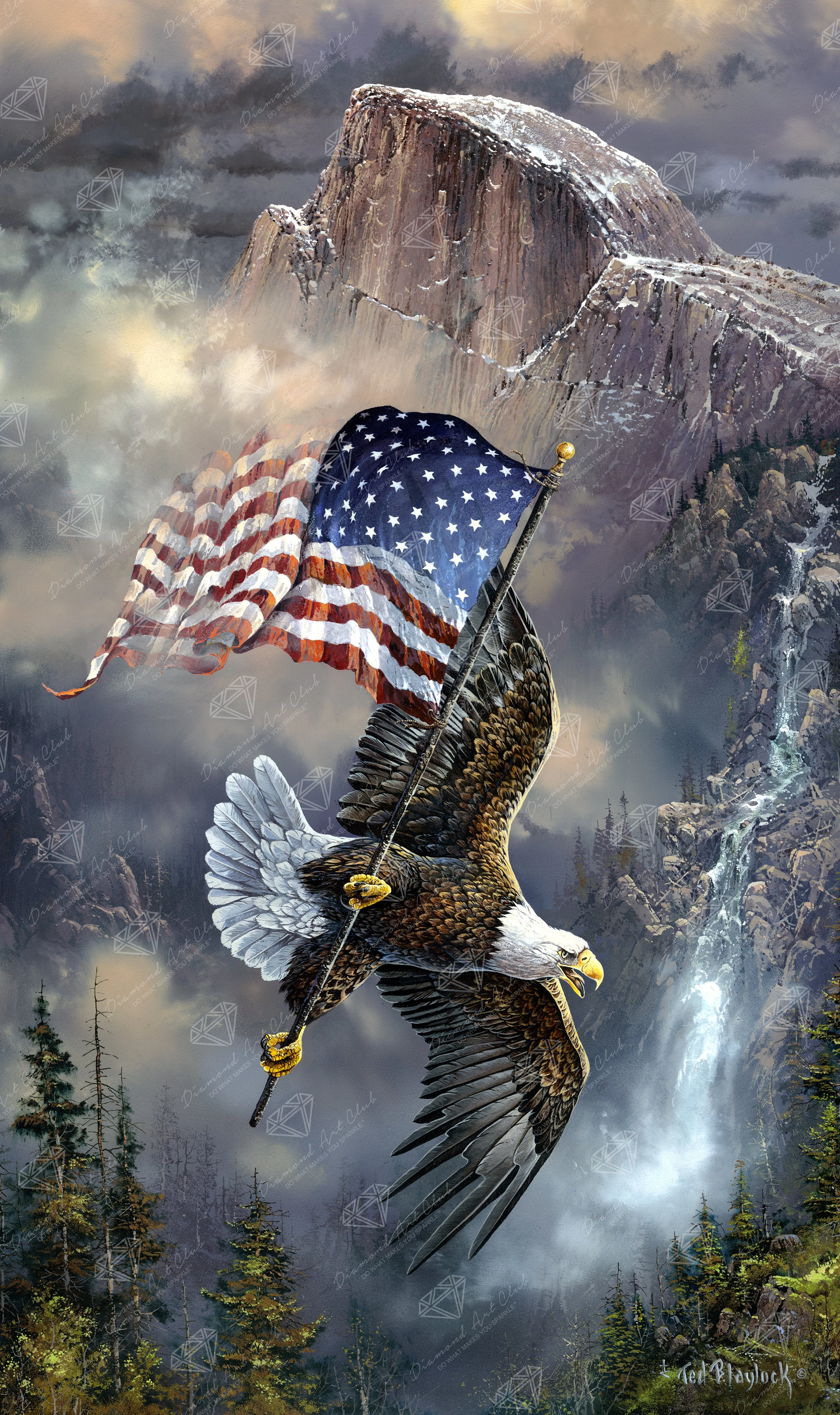 Old Glory at Half Dome