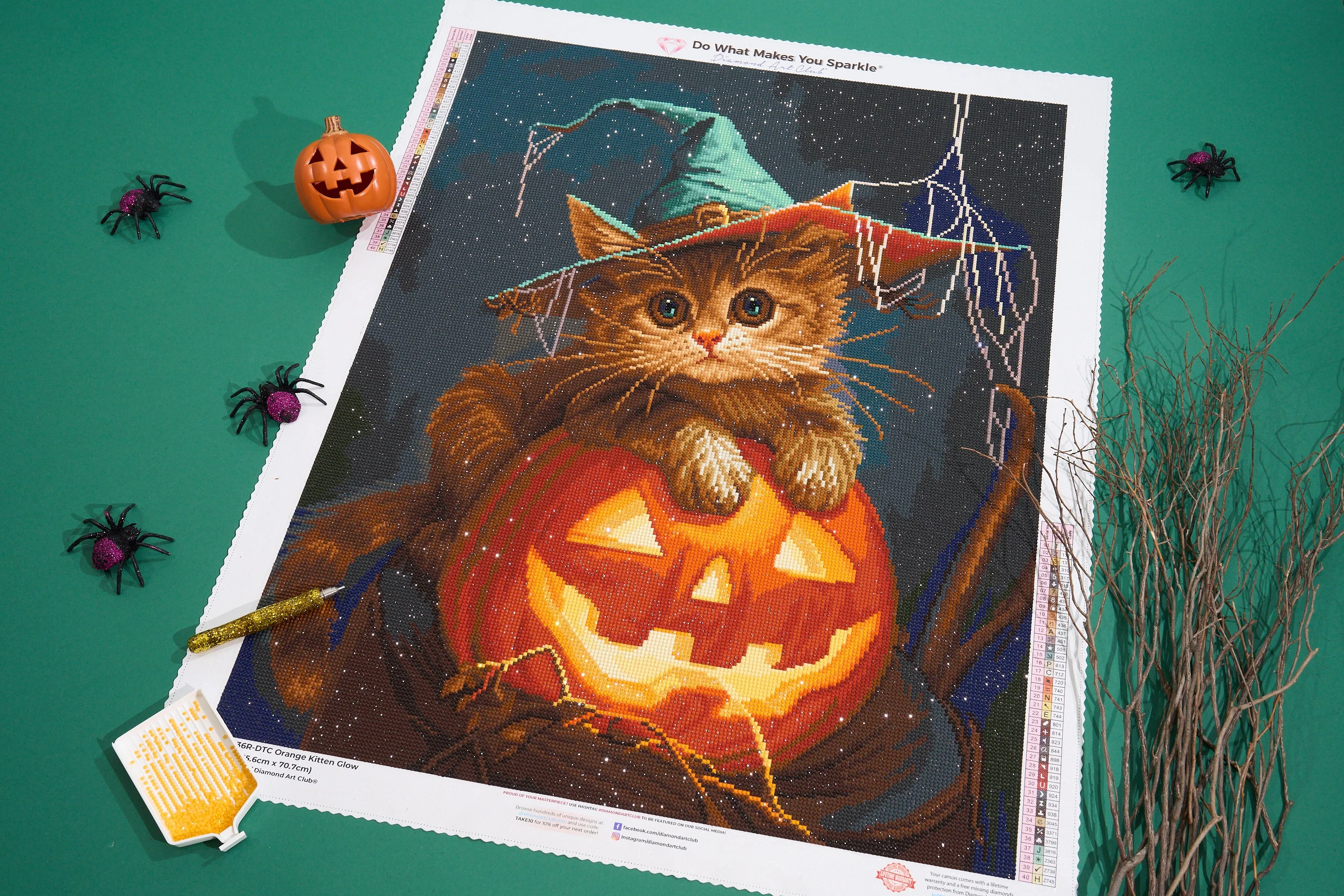 Orange Kitten Glow - Image 6
