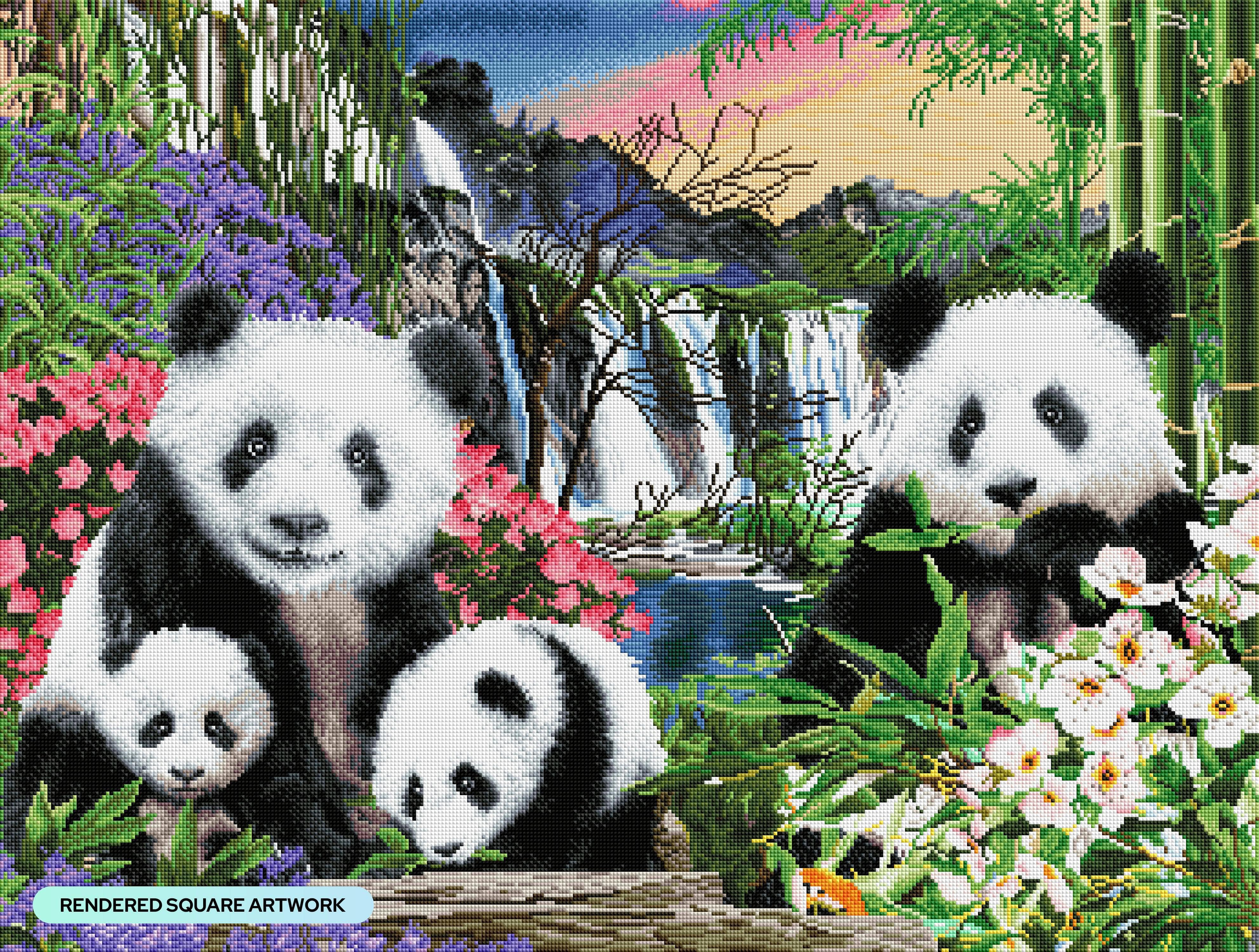 Panda Bears - Image 2