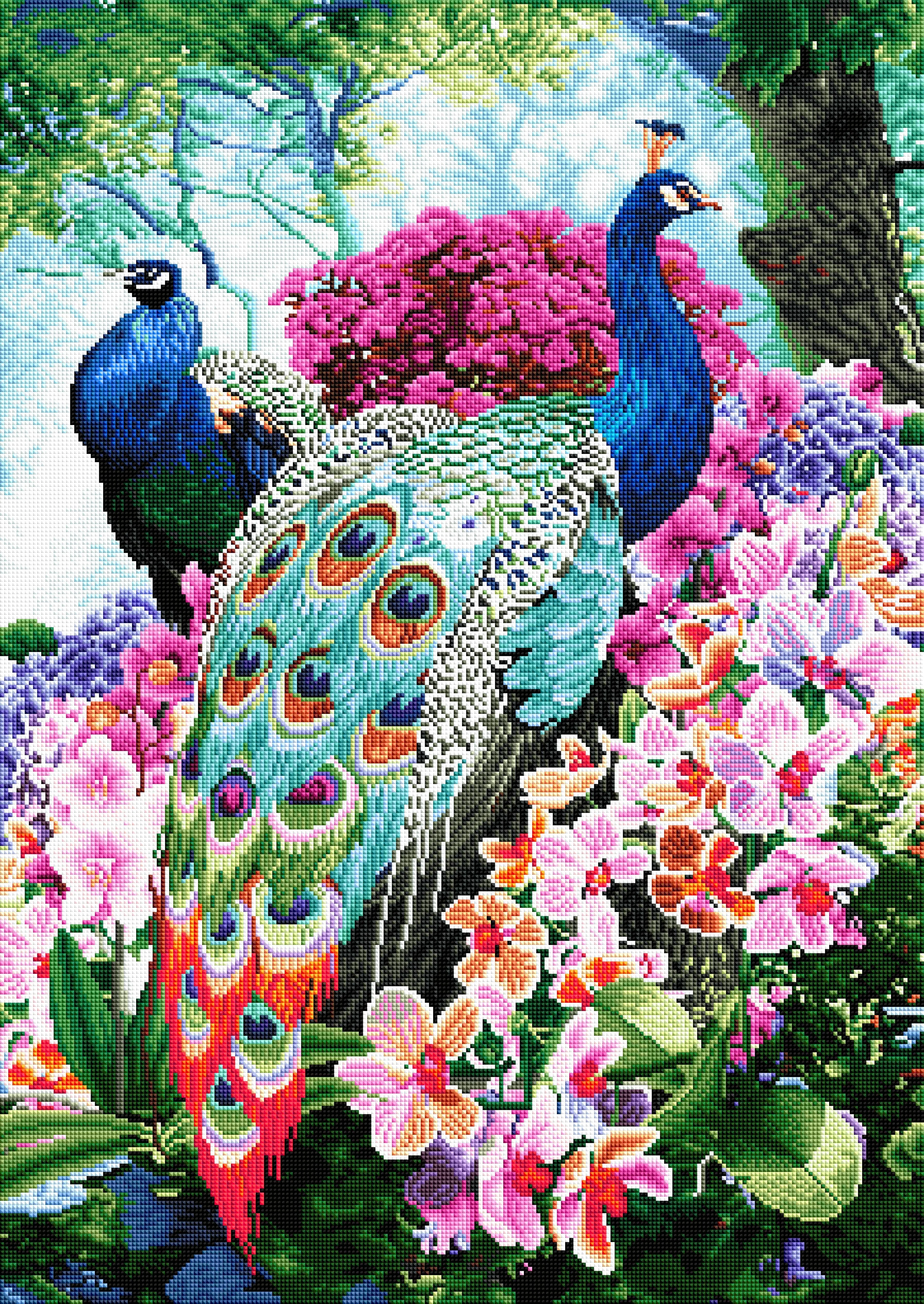Peacock - Image 2