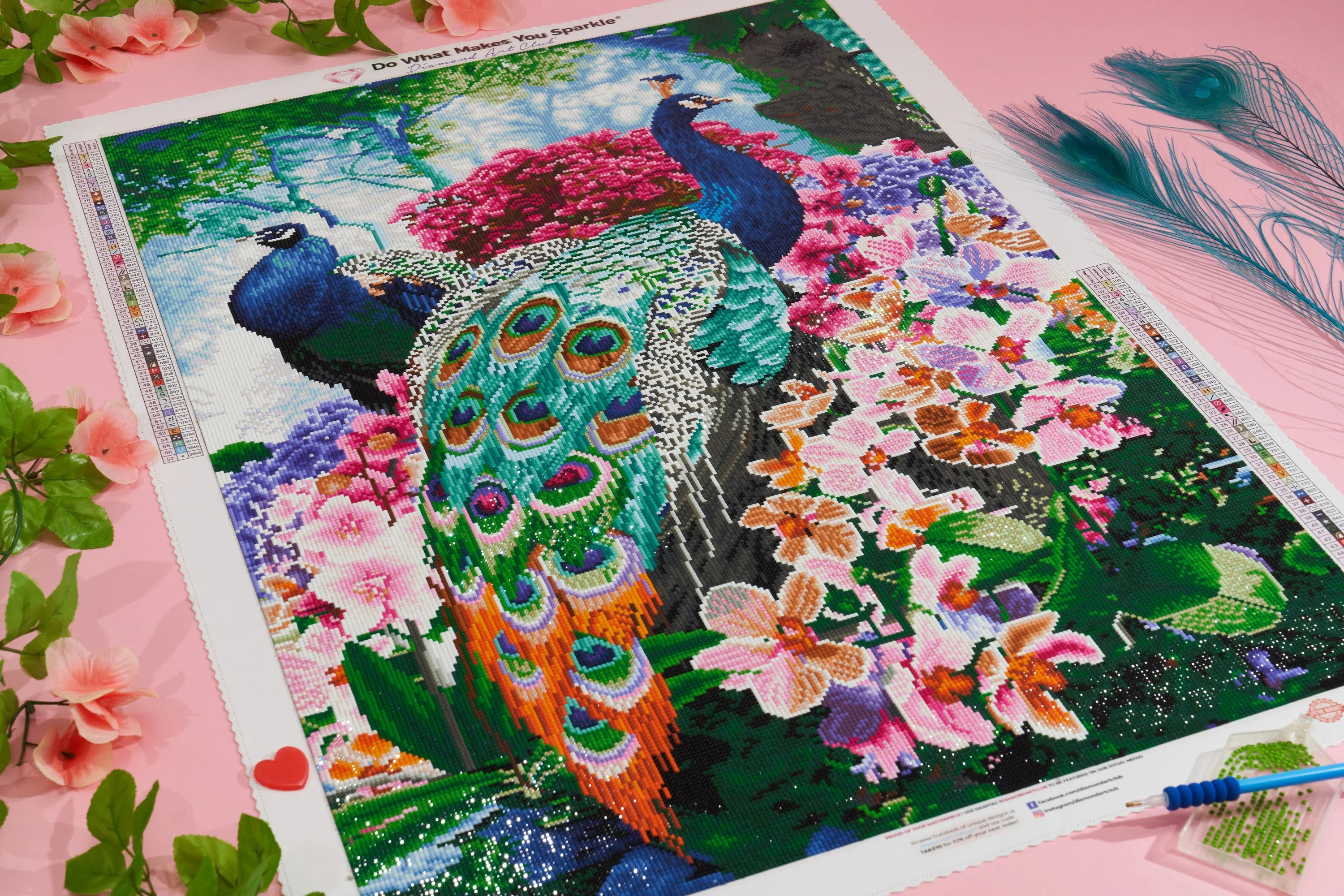 Peacock - Image 6