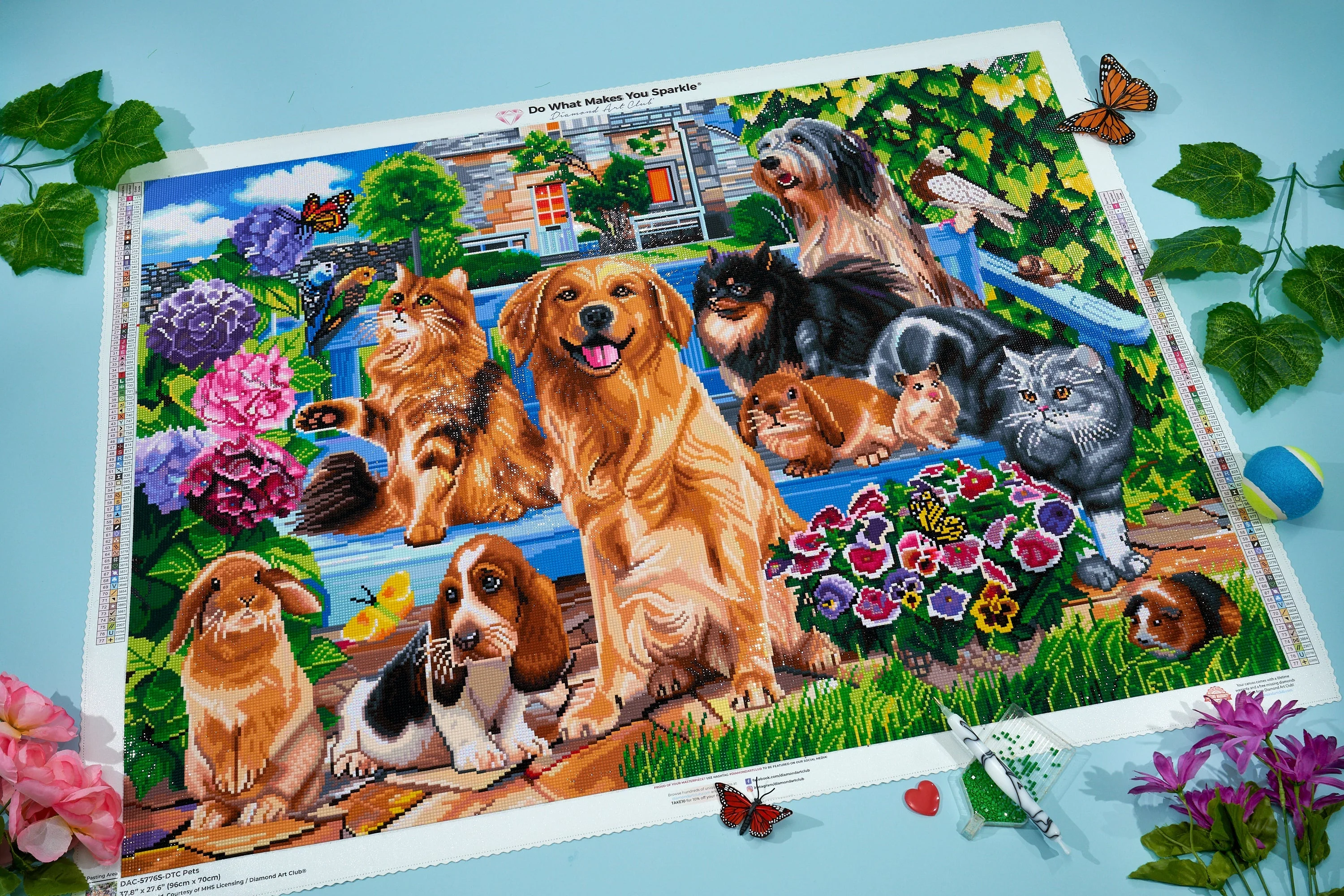 Pets - Image 7