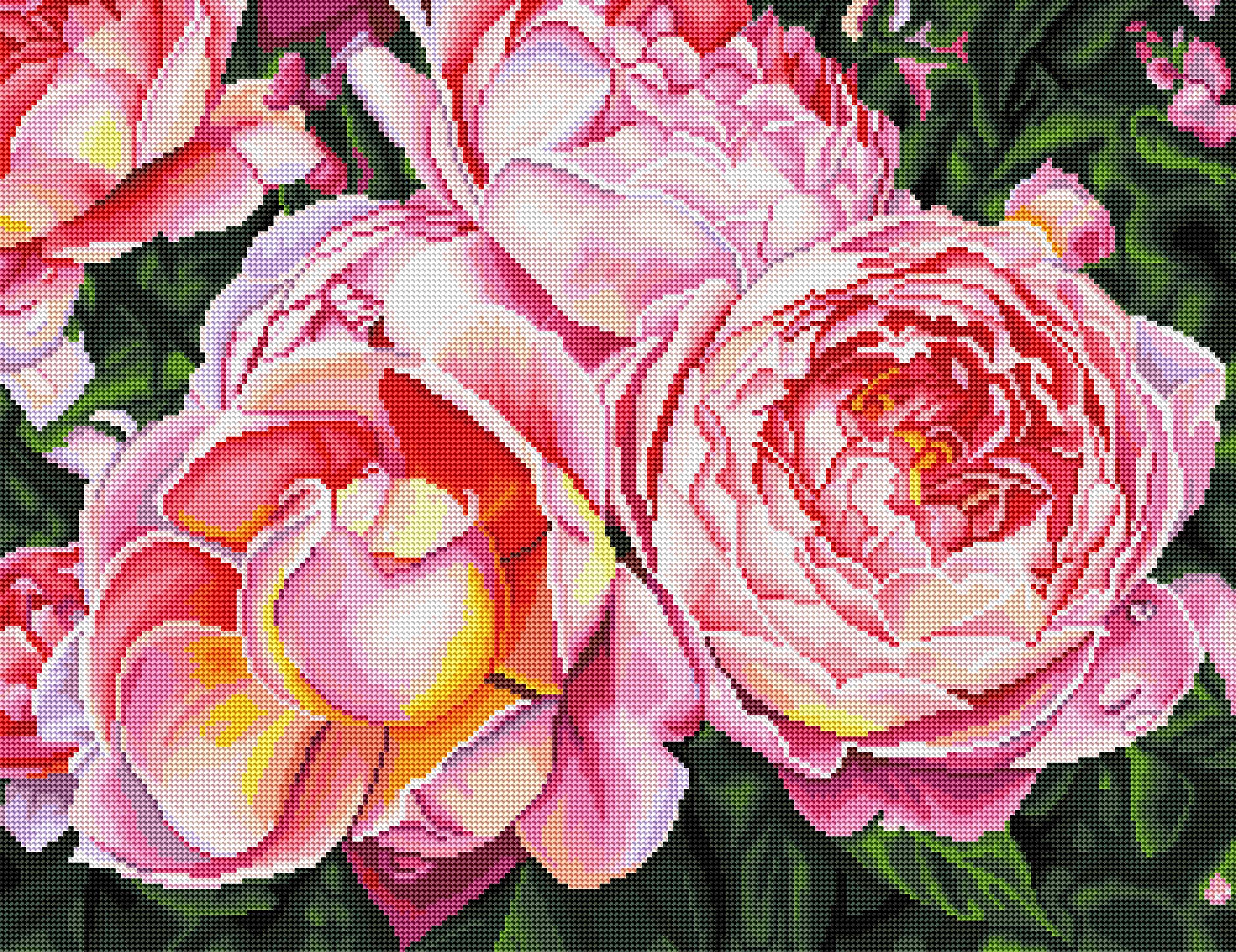 Pink Roses - Image 2
