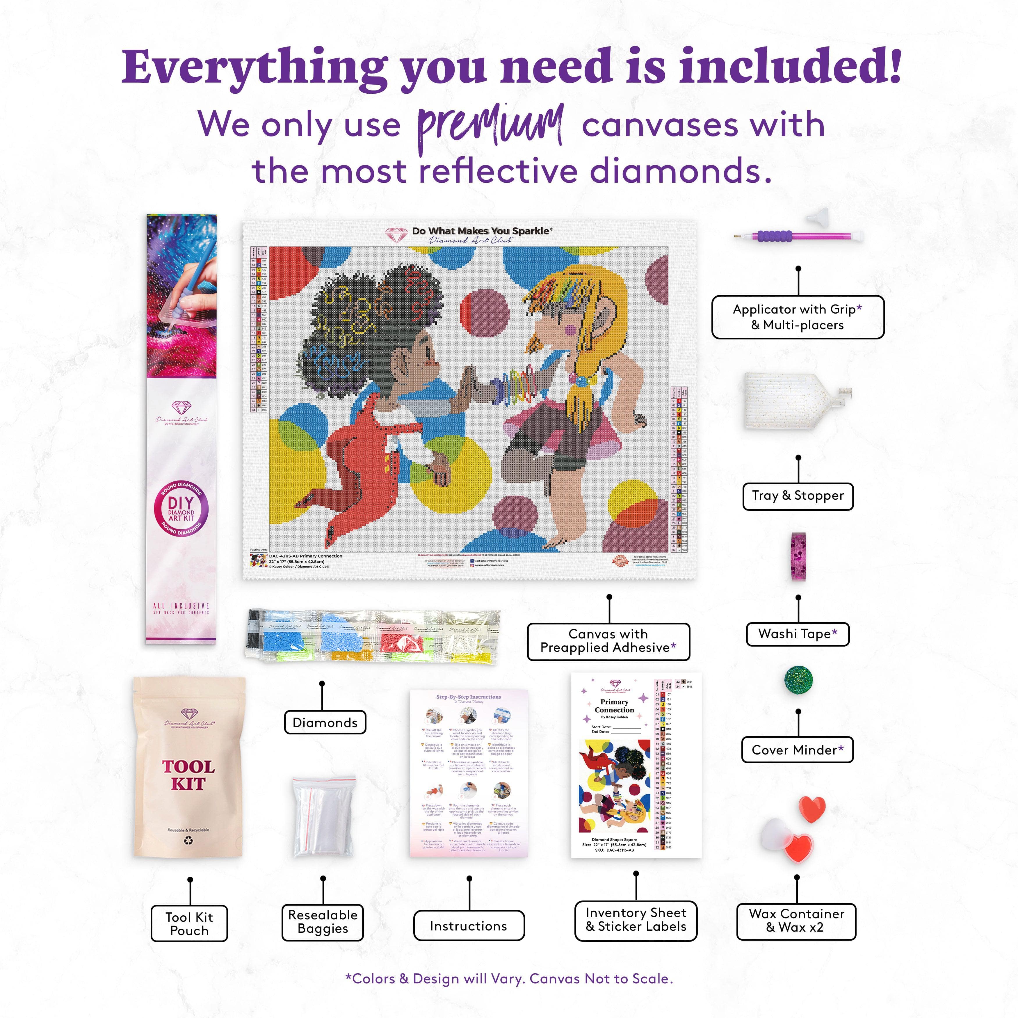 Primary Connection - Image 3