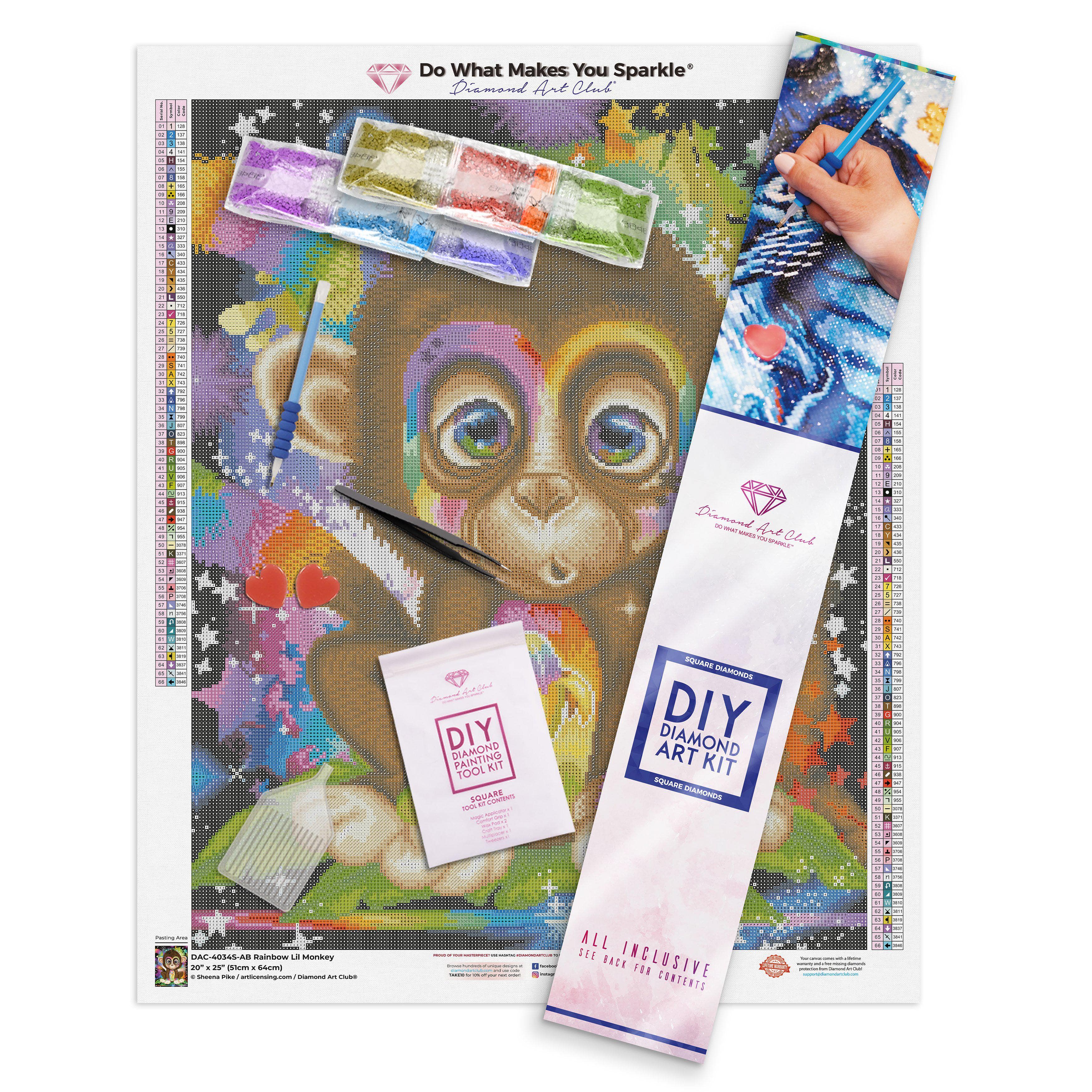 Rainbow Lil Monkey - Image 3