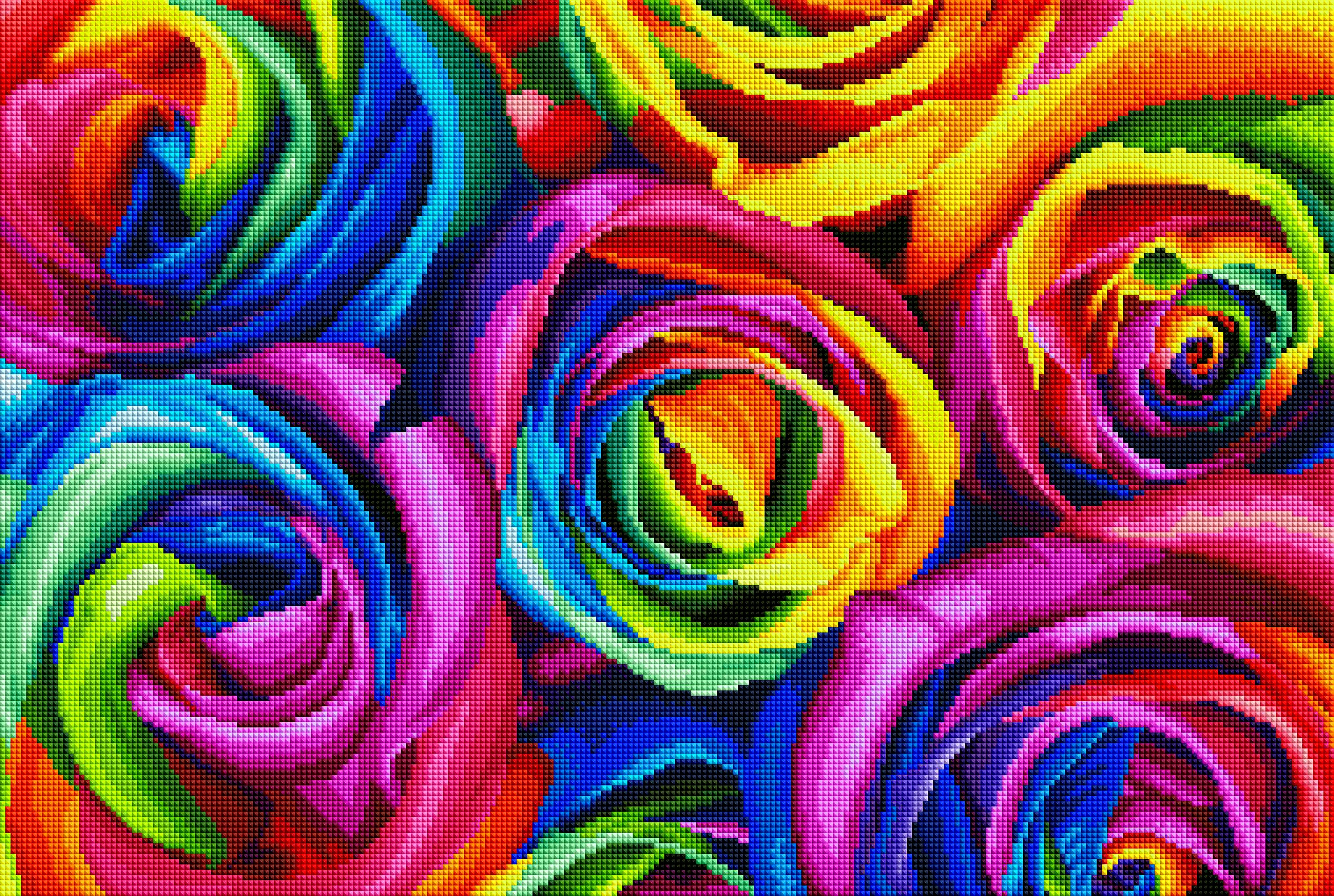 Rainbow Roses - Image 2