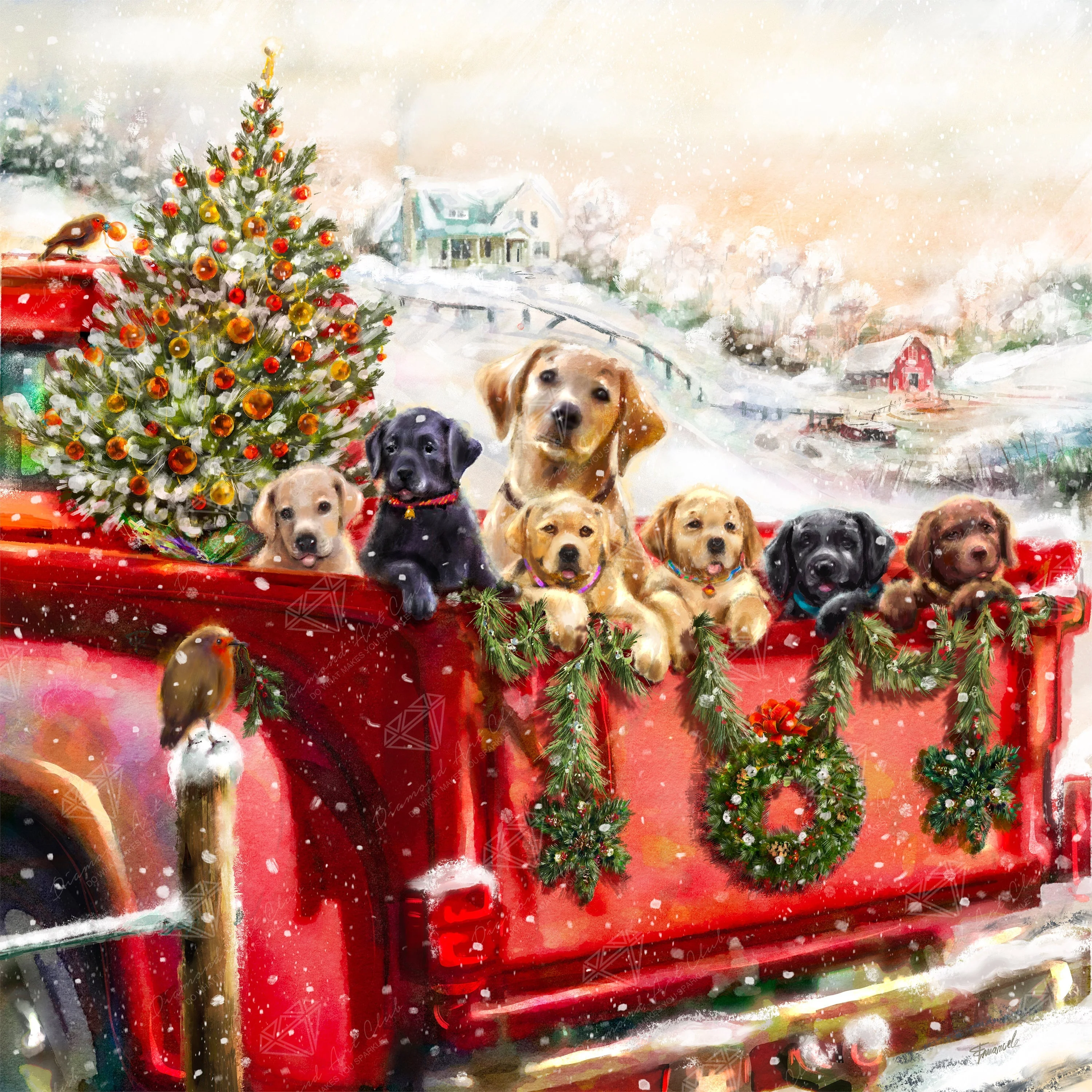 Red Truck and Labradors