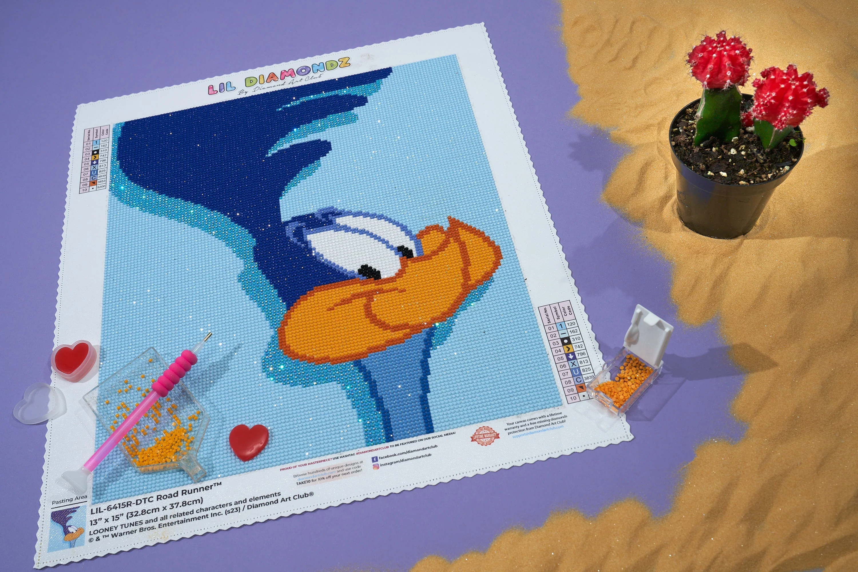 Road Runner⢠- Image 5