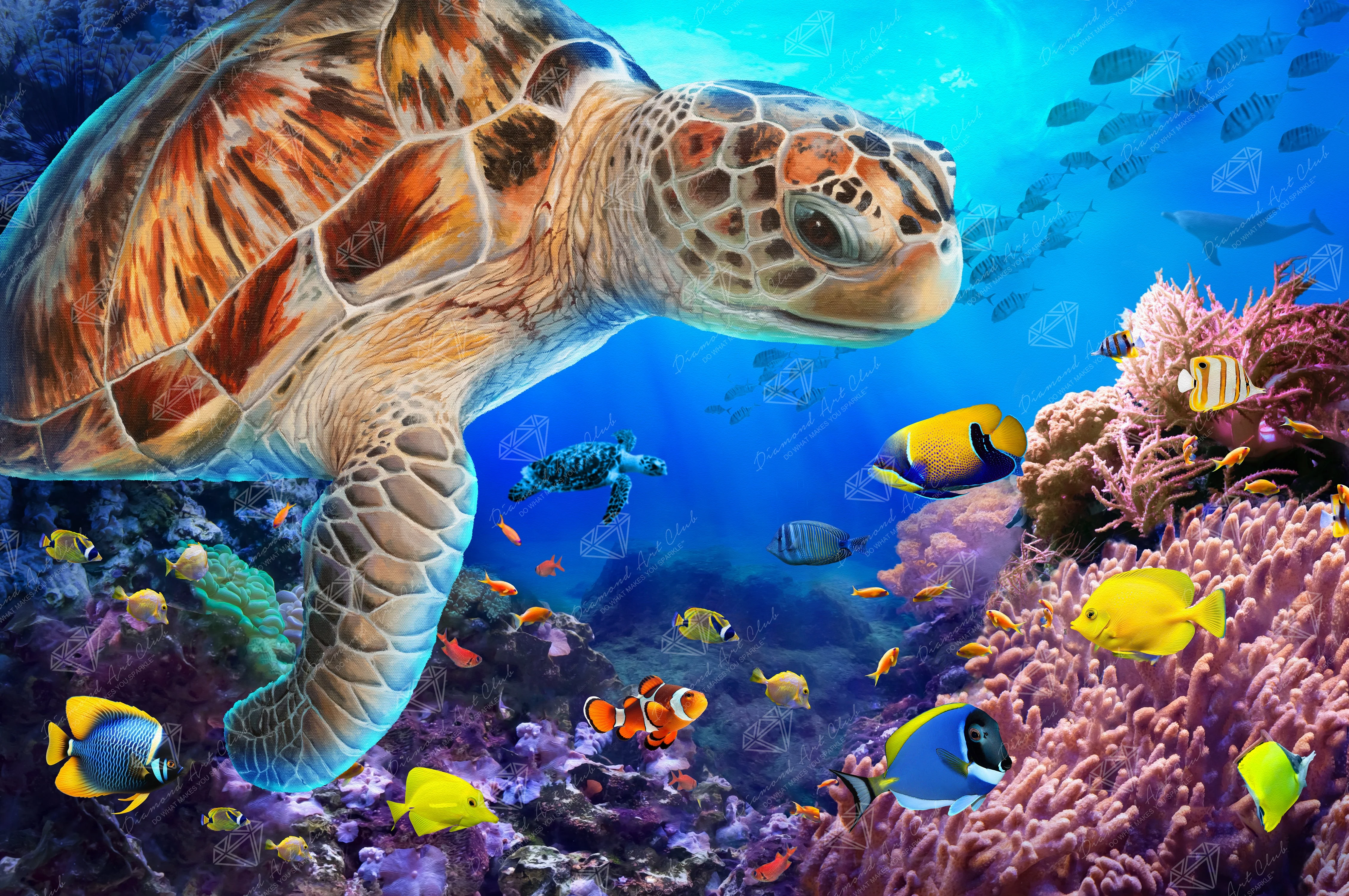 Sea Turtle Fantasy