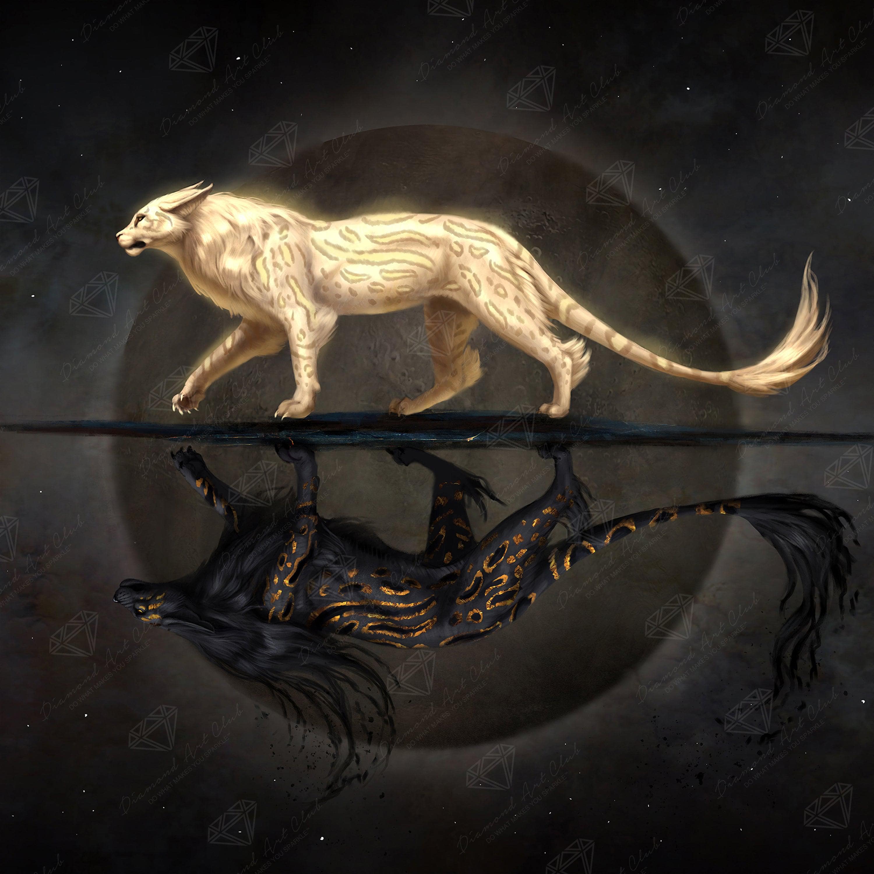 Shadow and Light Cat