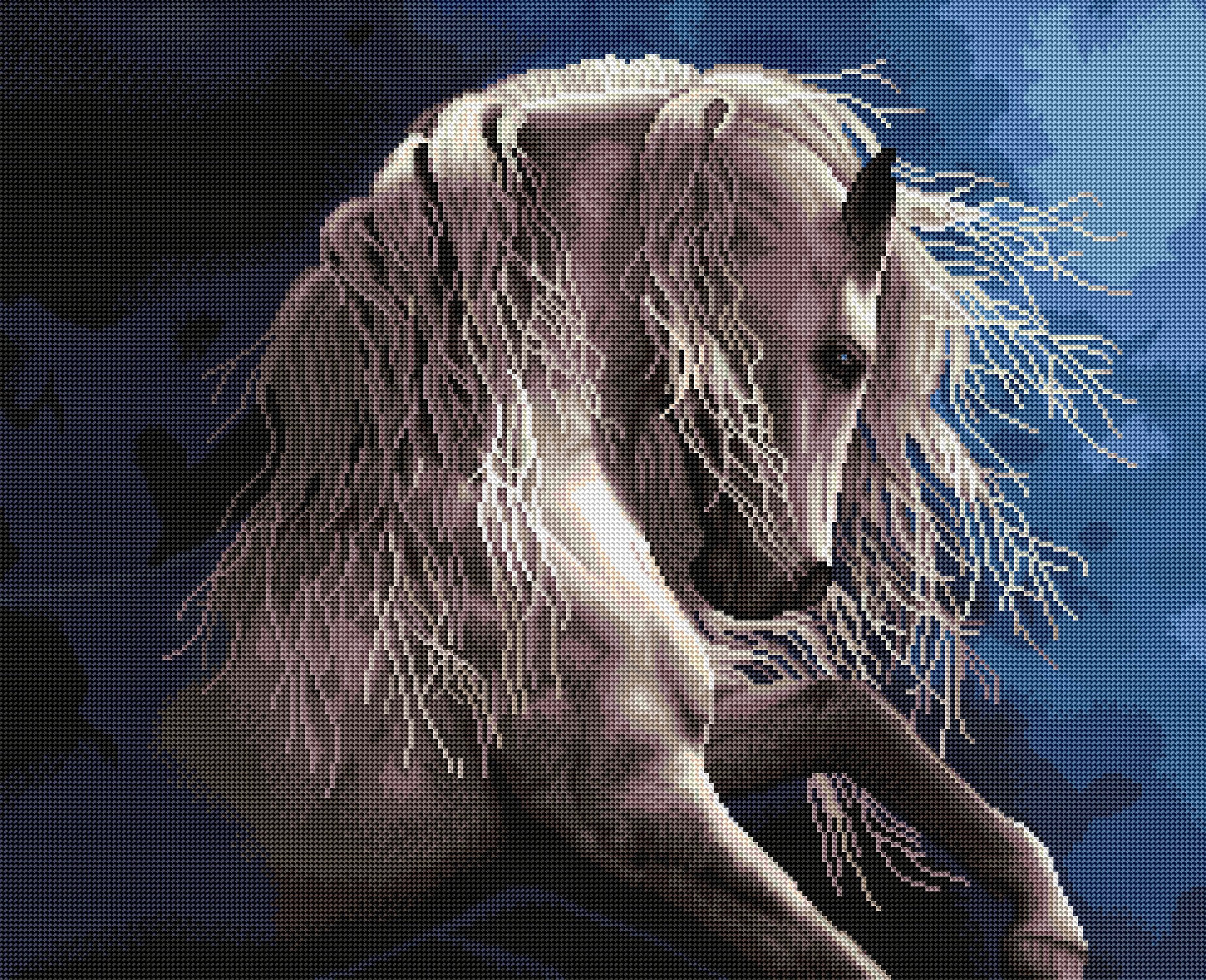 Silver Ghost II - Image 2