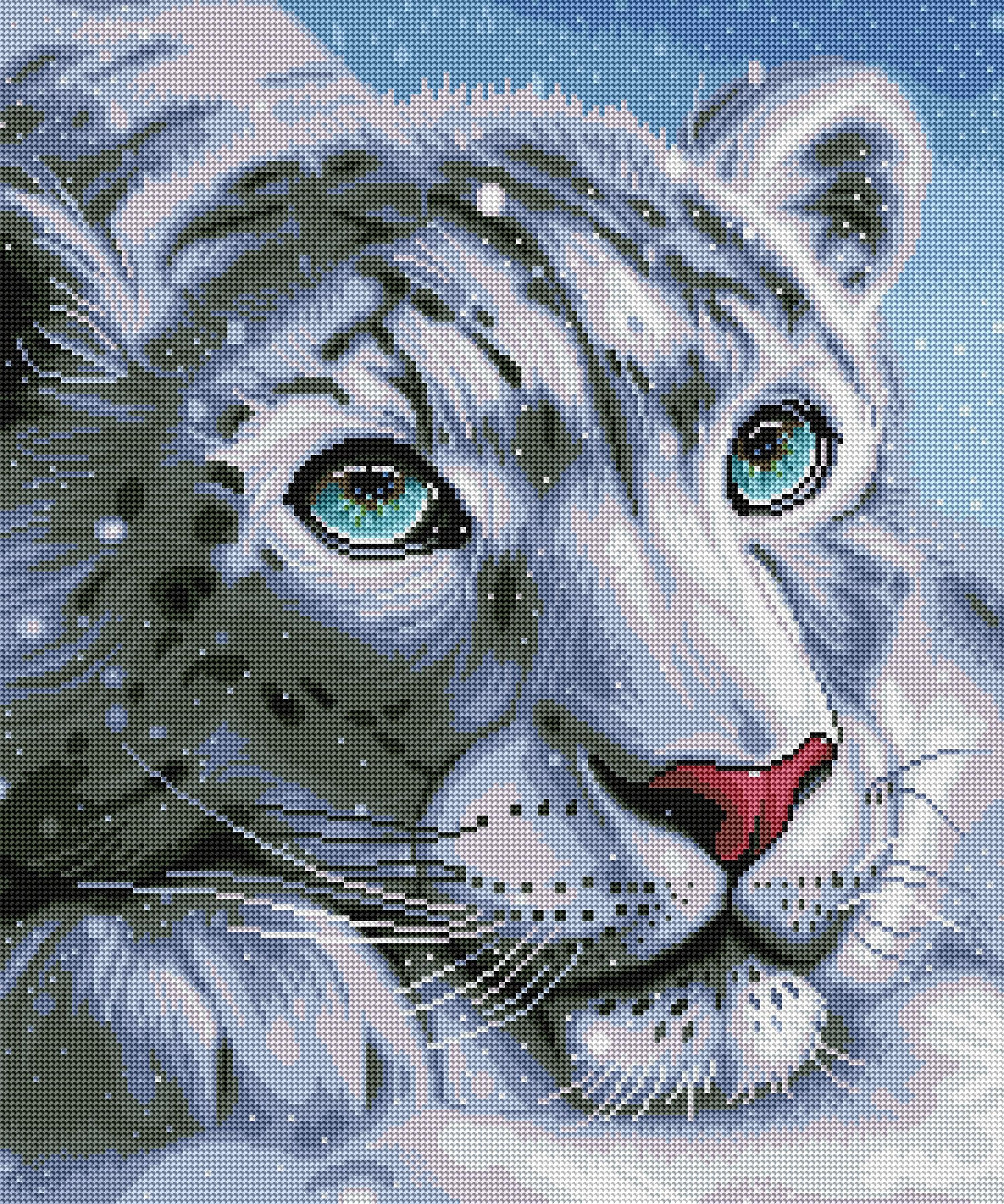 Snow Leopard - Image 2