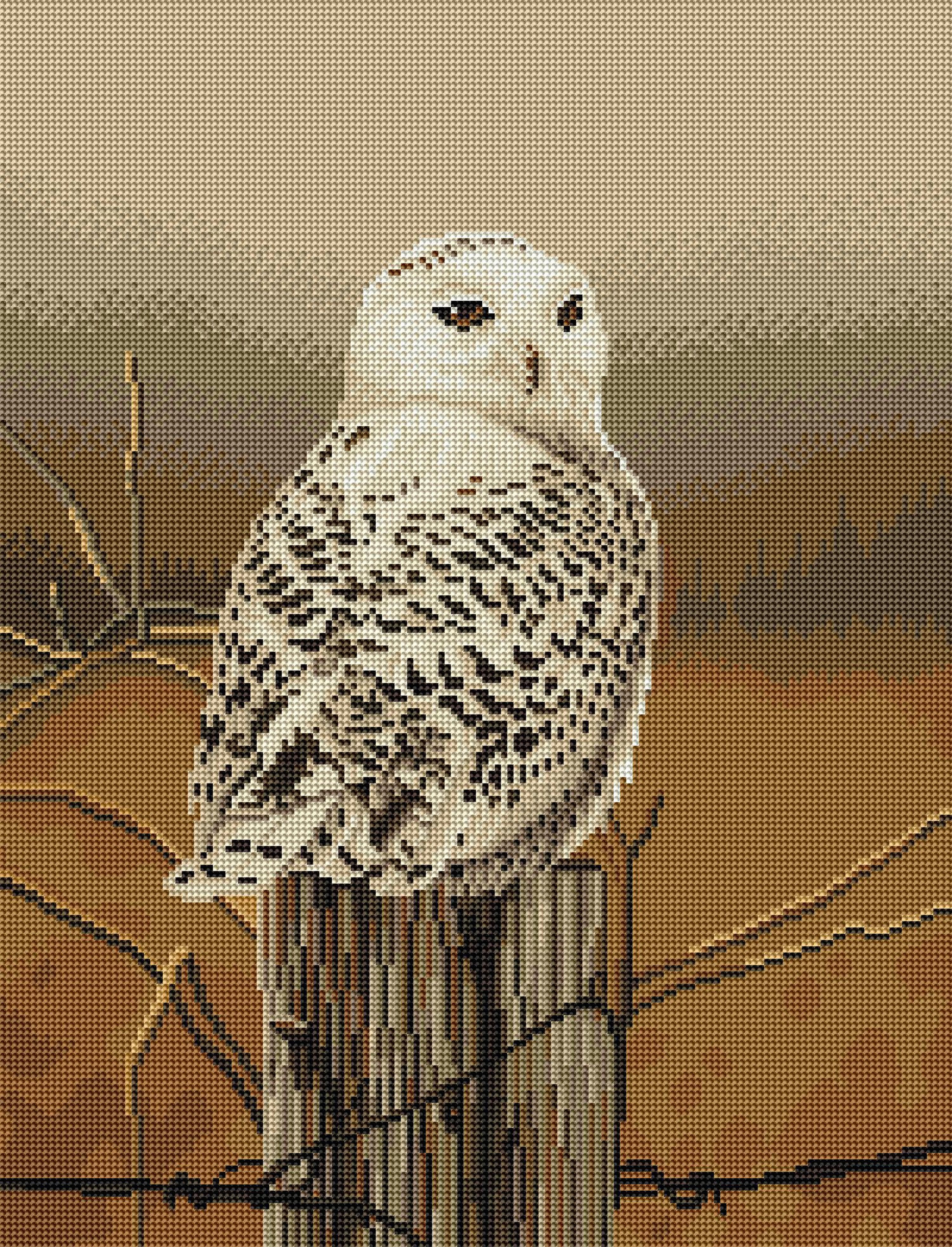 Snowy Owl - Image 2