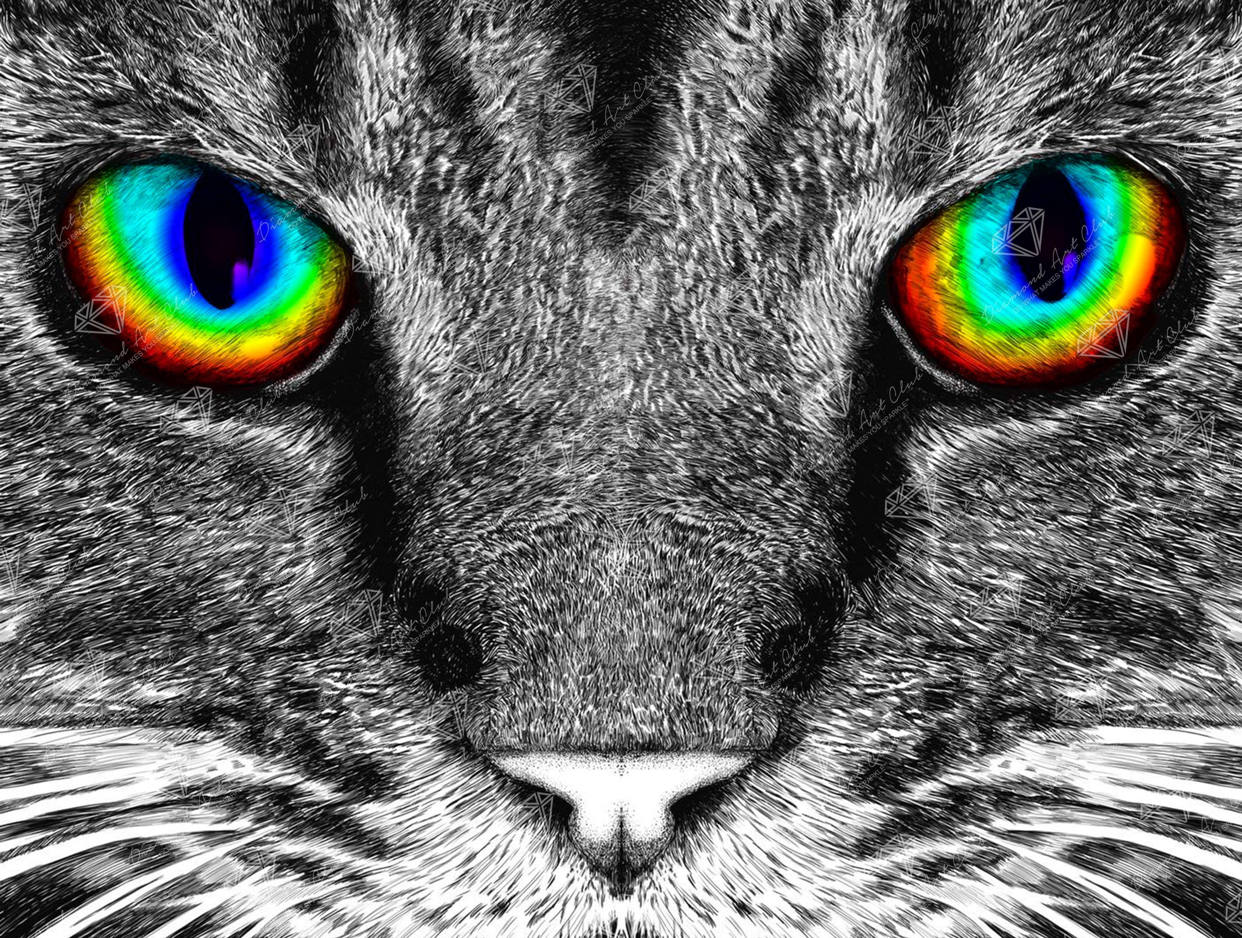 The Cat