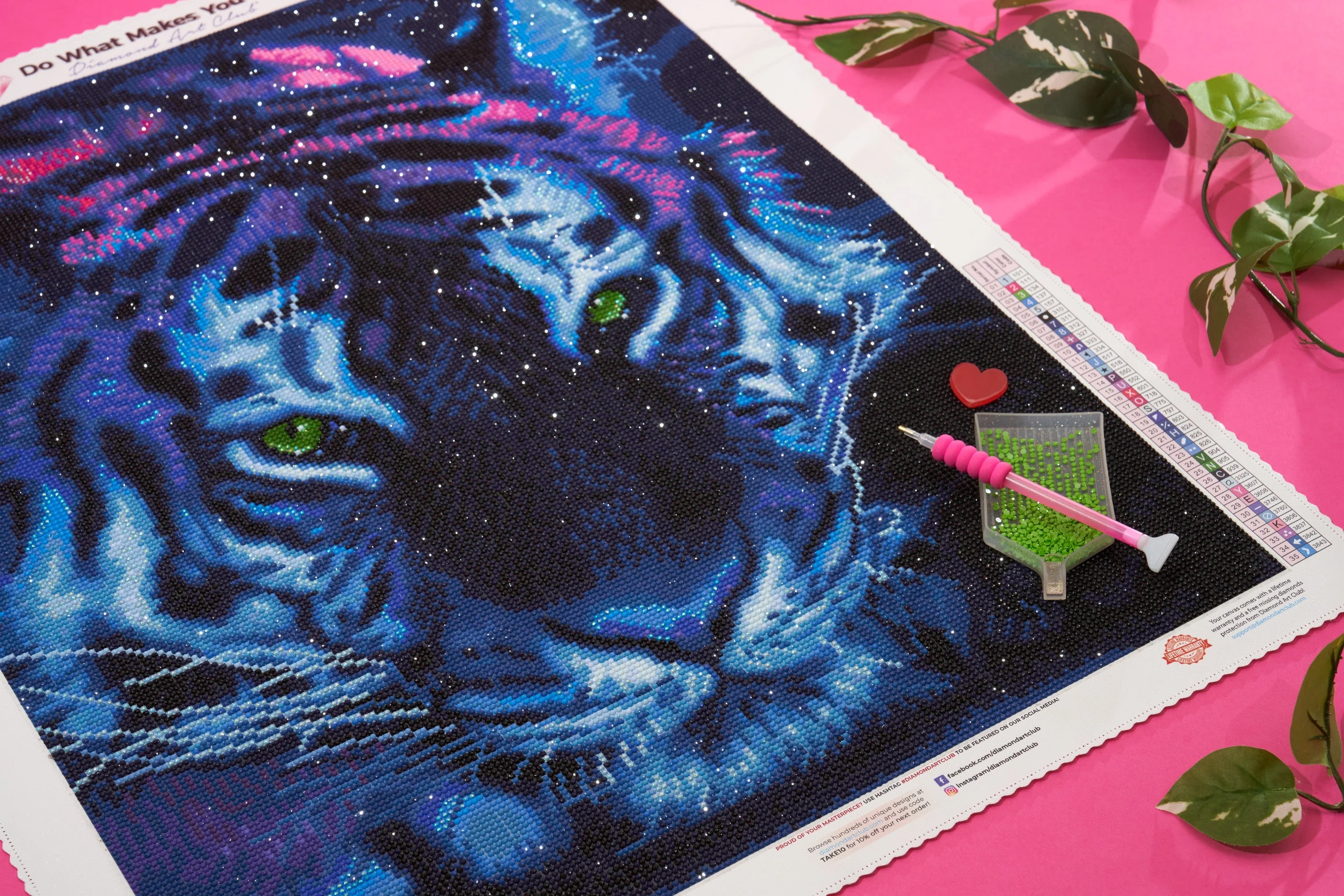 The Tiger's Stare - Image 4