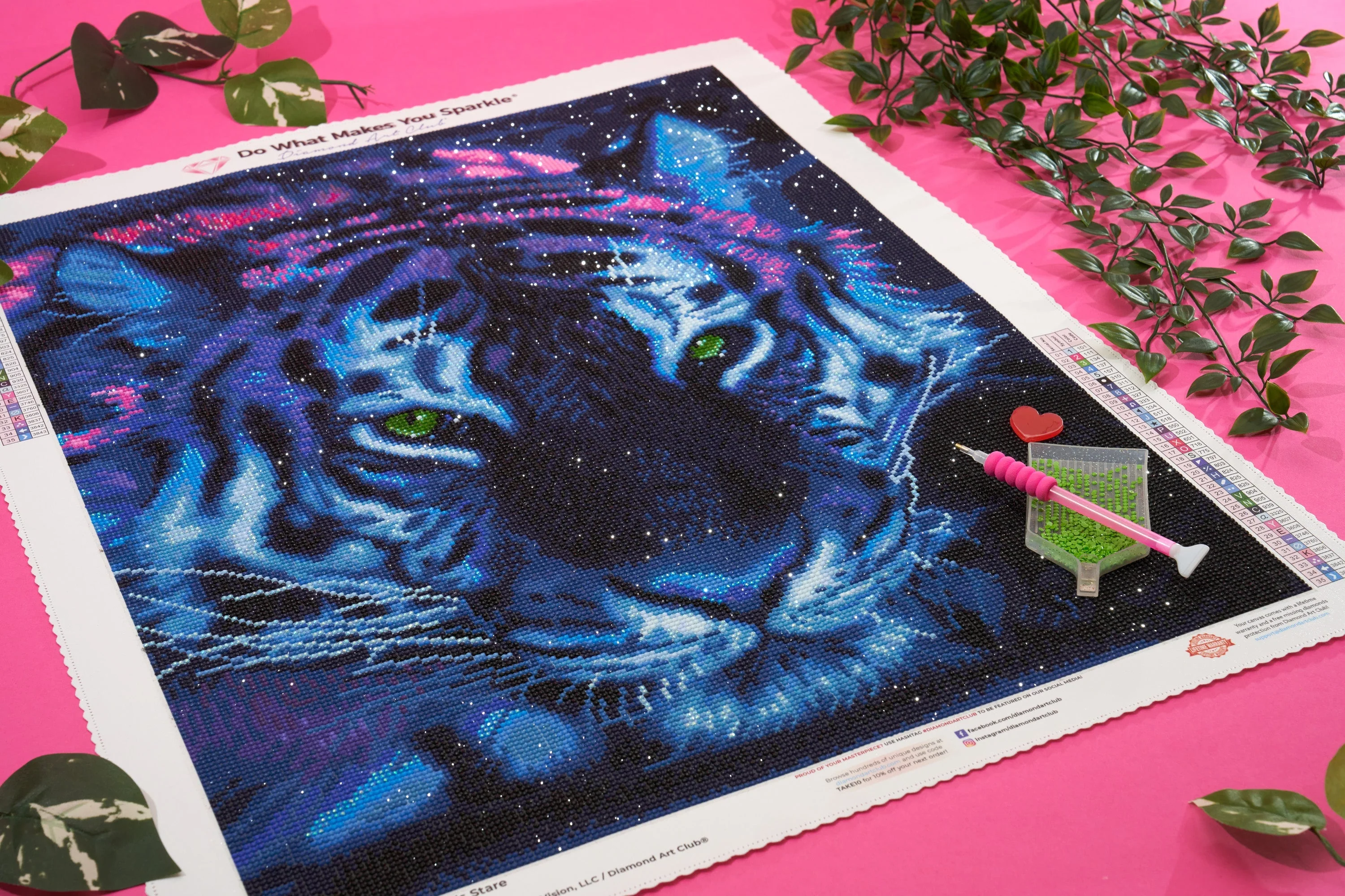 The Tiger's Stare - Image 6