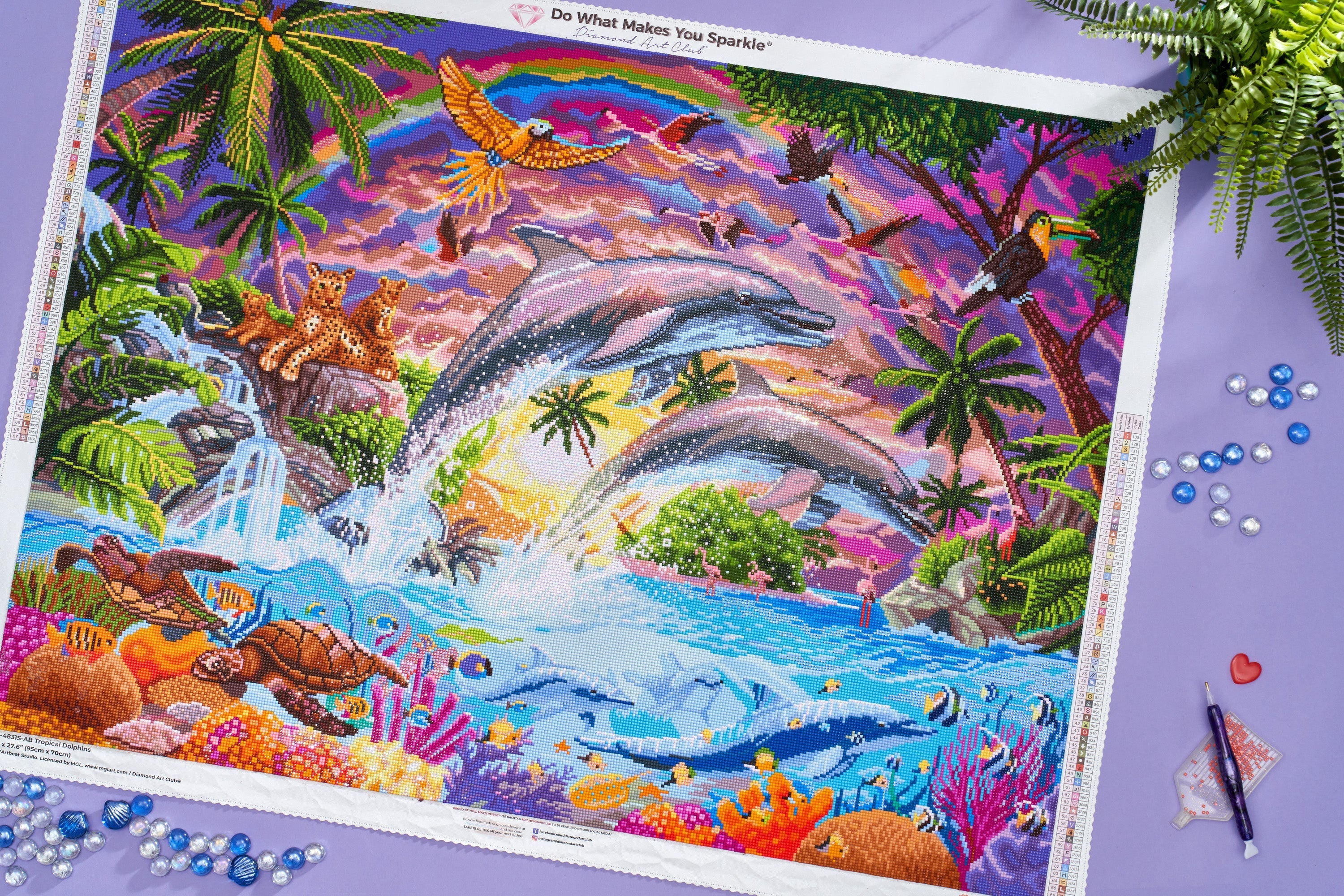 Tropical Dolphins - Image 5