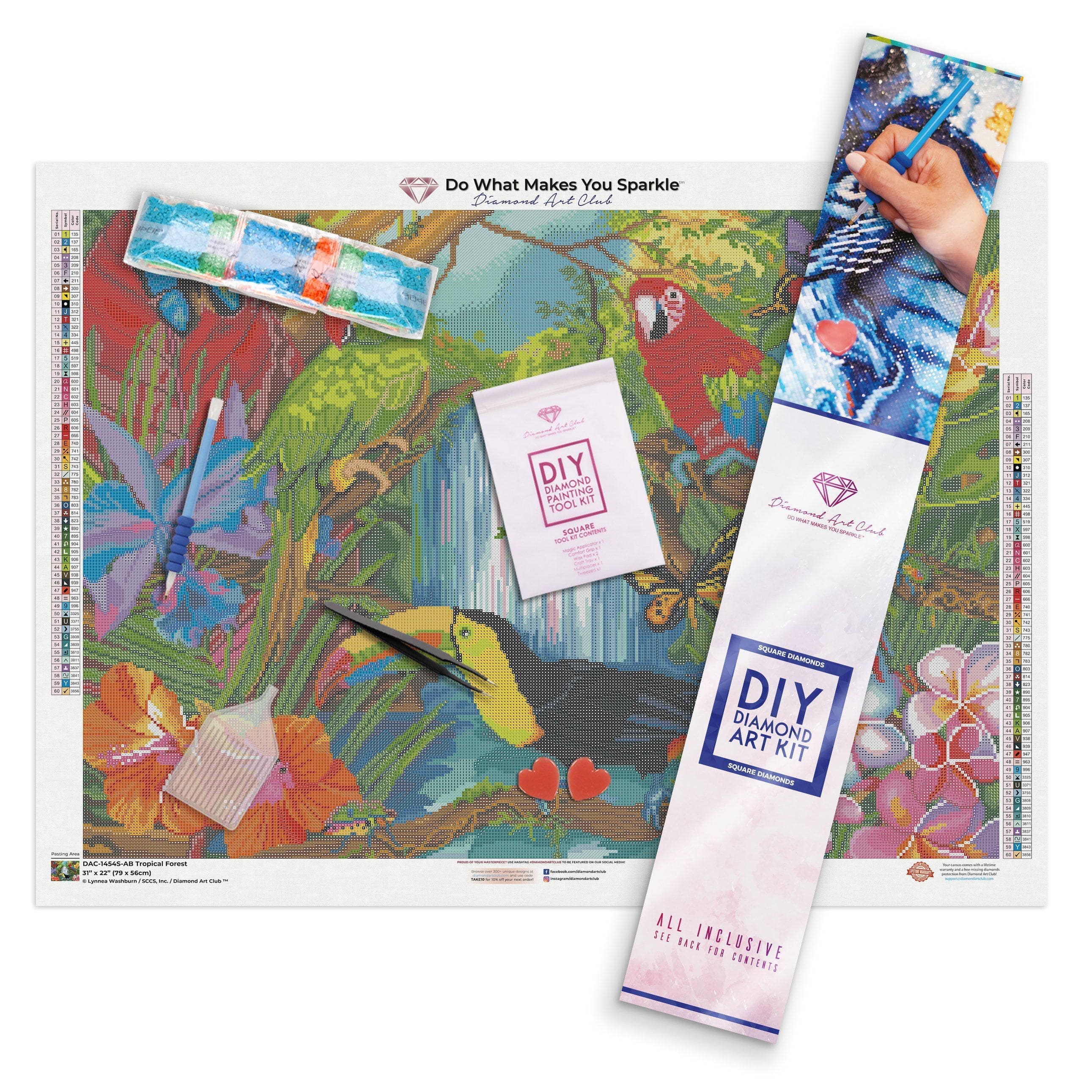 Tropical Forest - Image 3