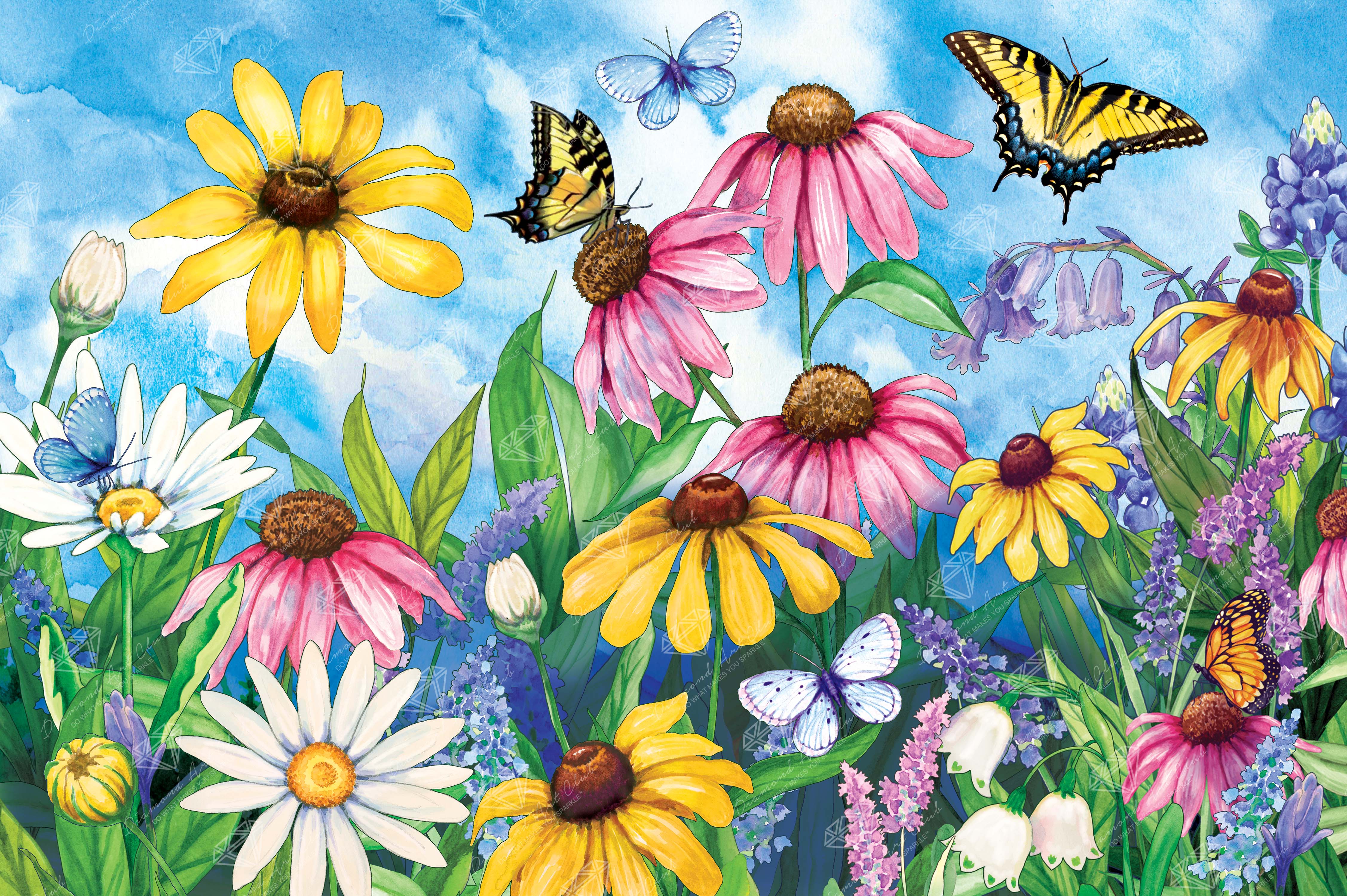 Wildflowers Butterflies